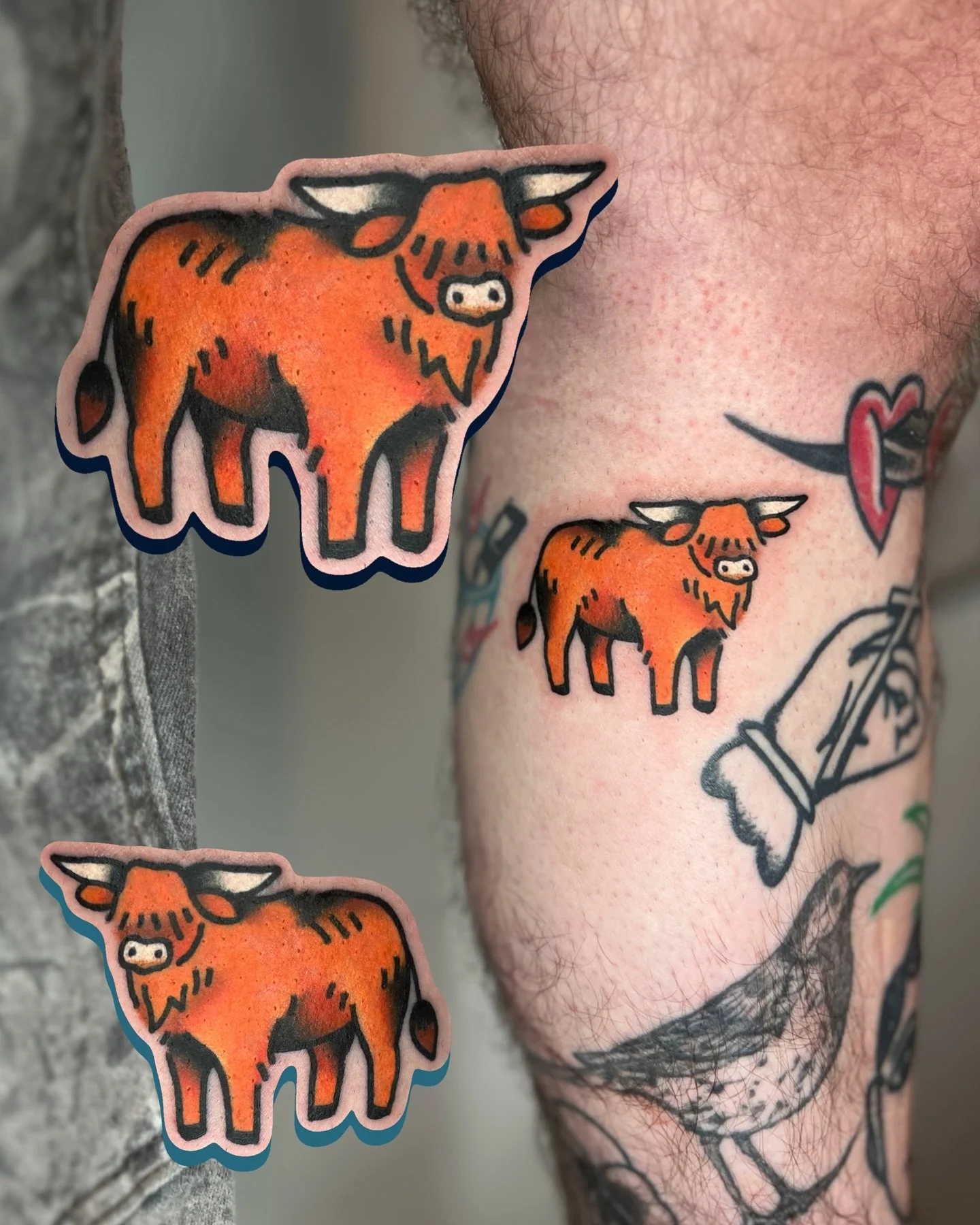 a little highland cow, on me by me

not long ago, i lost a family friend, someone very special. before this, i had drawn some highland cows for an unrelated upcoming custom booking, when i showed my family friend the sheet over text she said she love