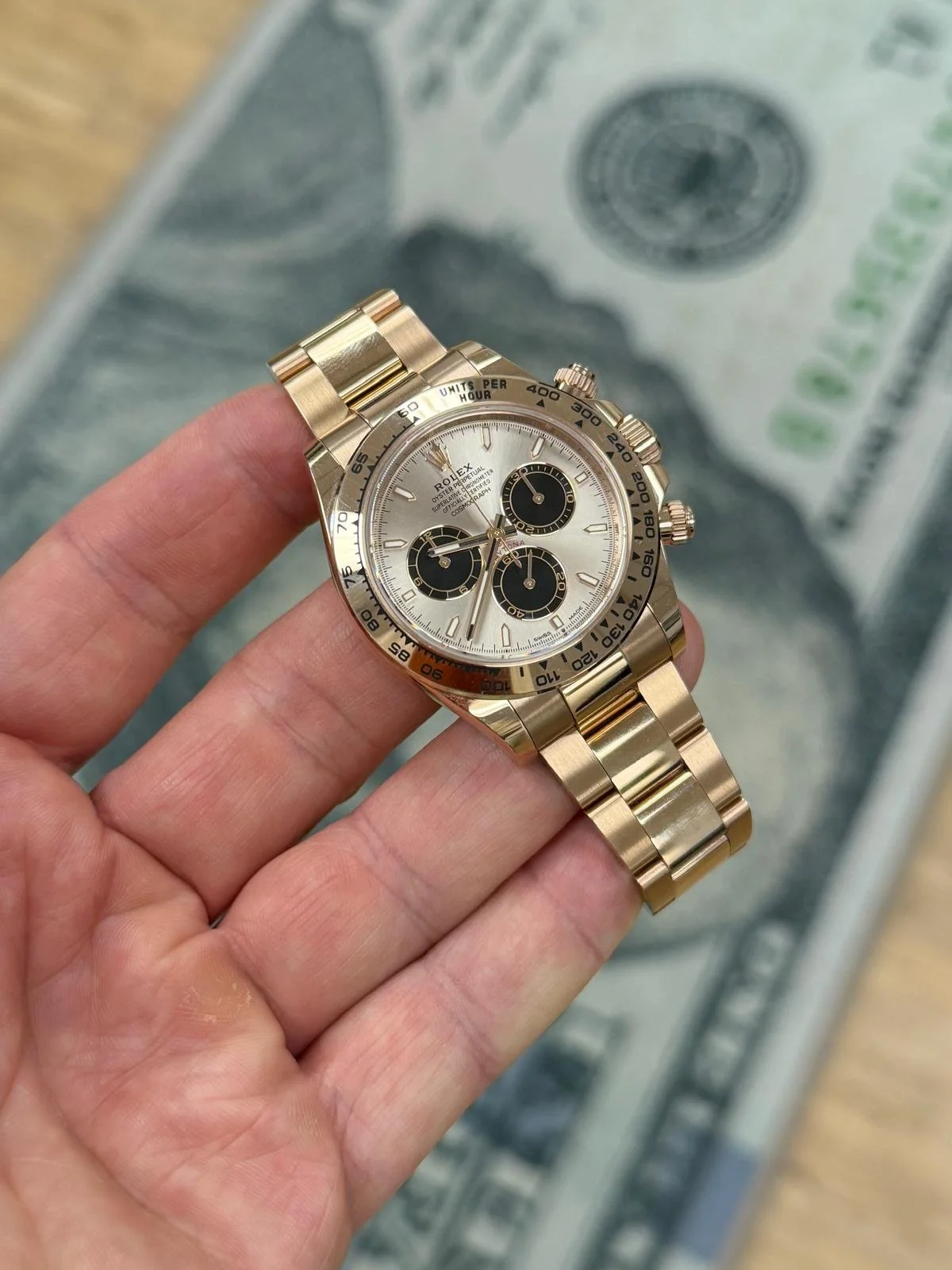 WhatsApp Image 2026-02-24 at 2.52.53 PM.jpeg