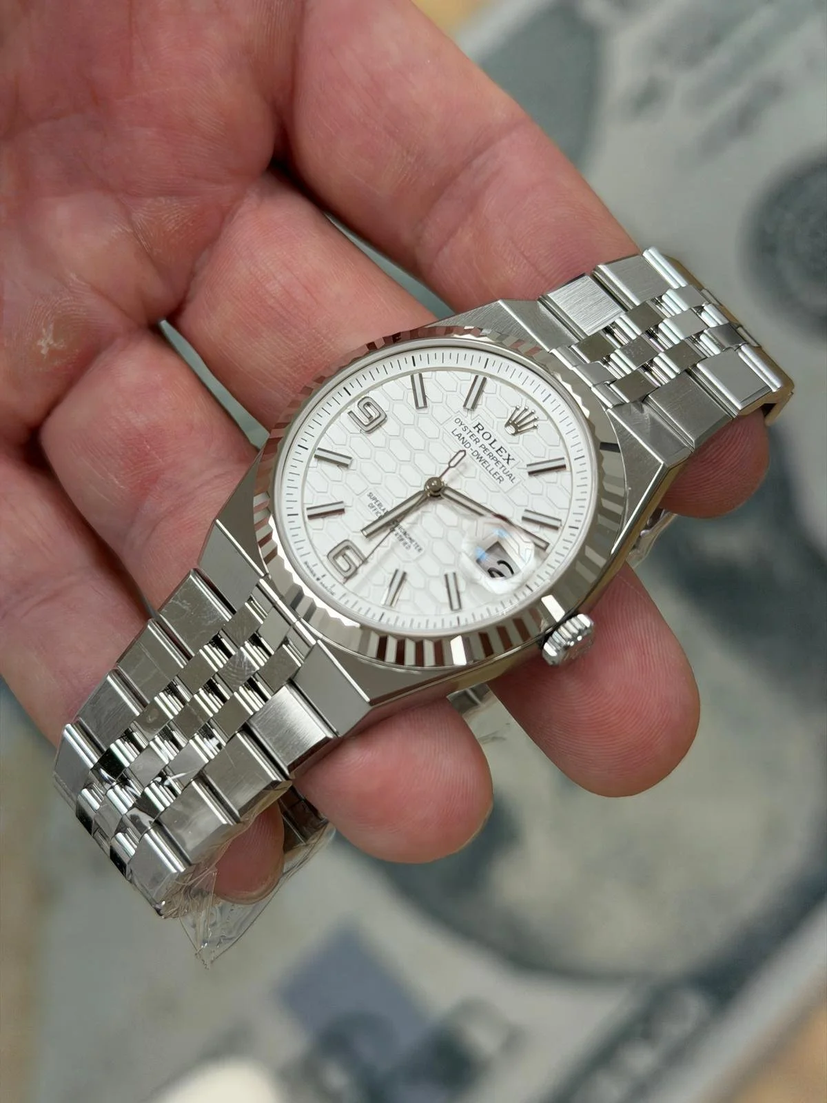 WhatsApp Image 2026-02-17 at 12.17.51 PM.jpeg