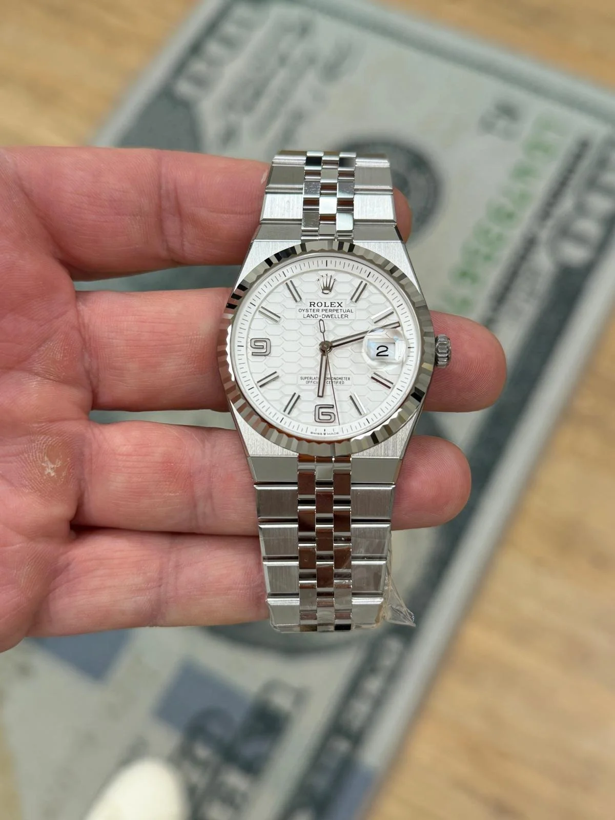 WhatsApp Image 2026-02-17 at 12.17.50 PM (1).jpeg