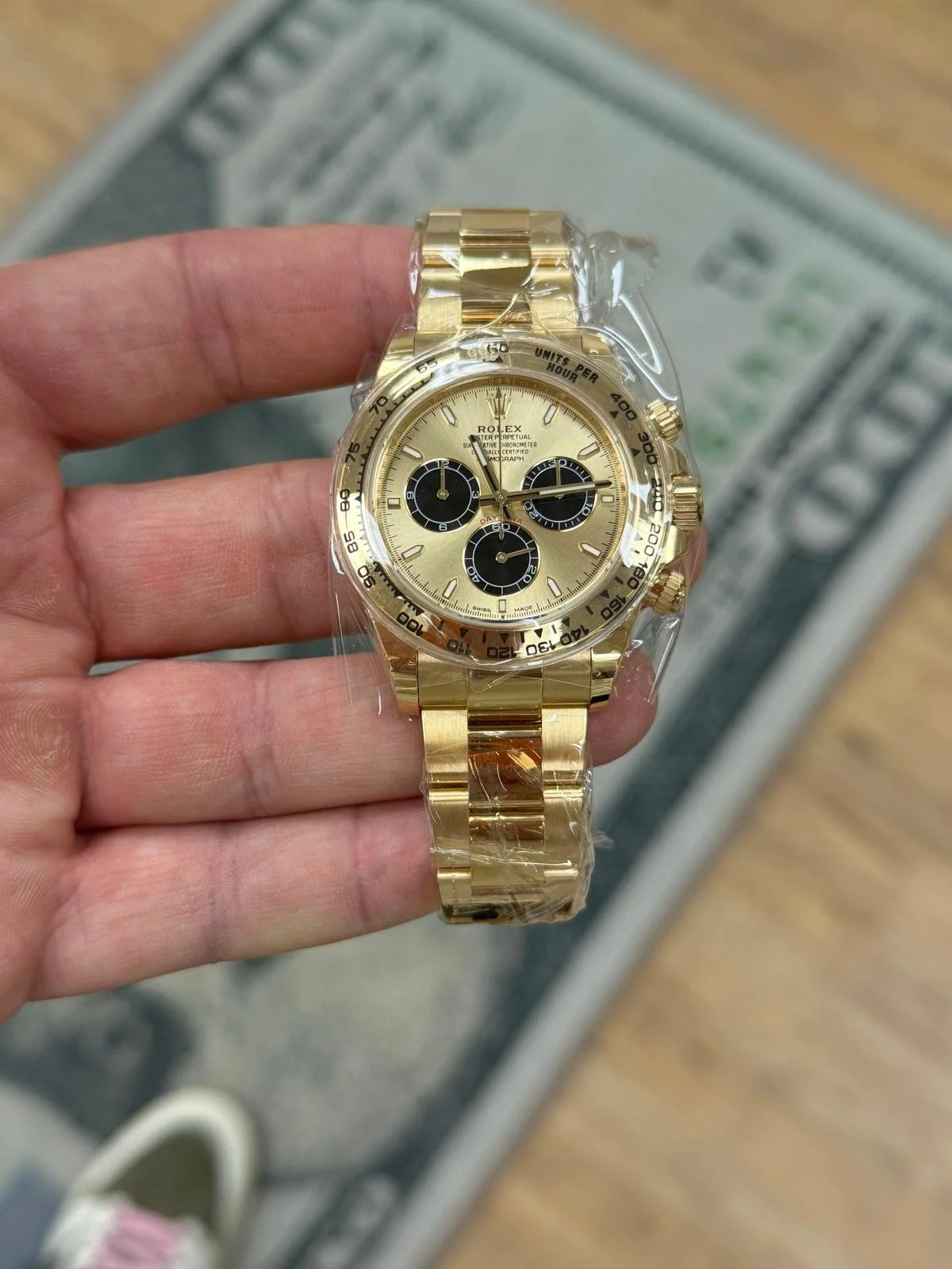 WhatsApp Image 2026-02-13 at 12.31.04 PM (1).jpeg