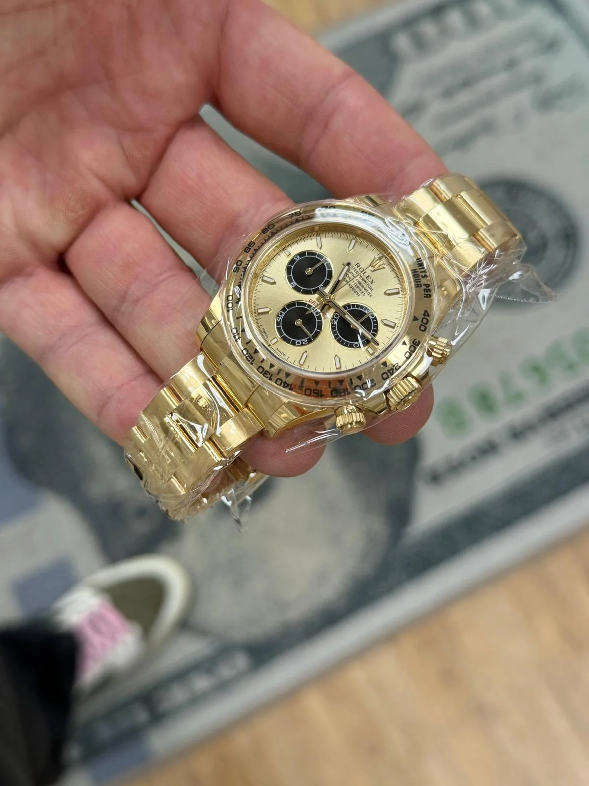 WhatsApp Image 2026-02-13 at 12.31.04 PM (2).jpeg