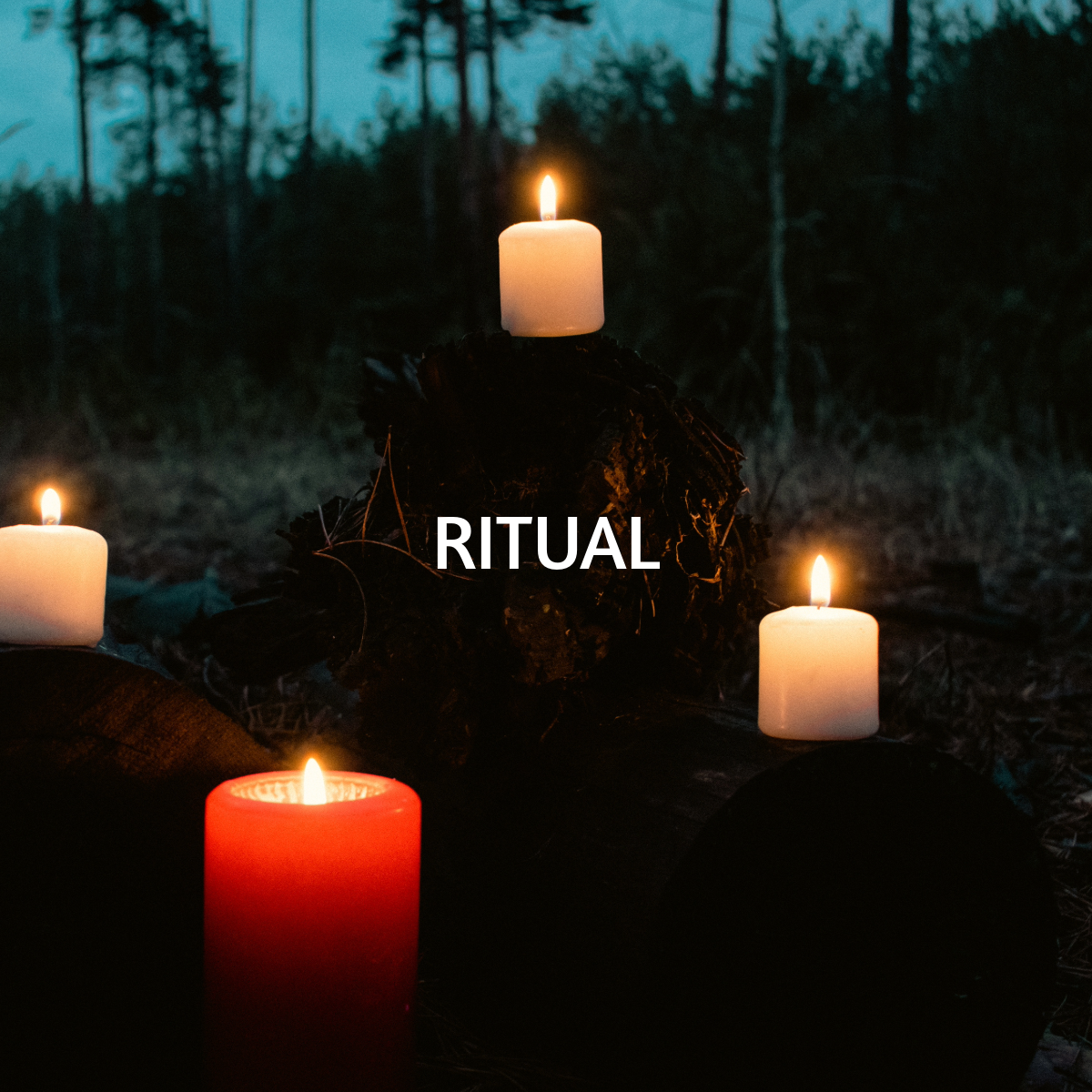 Untitled(5).png
