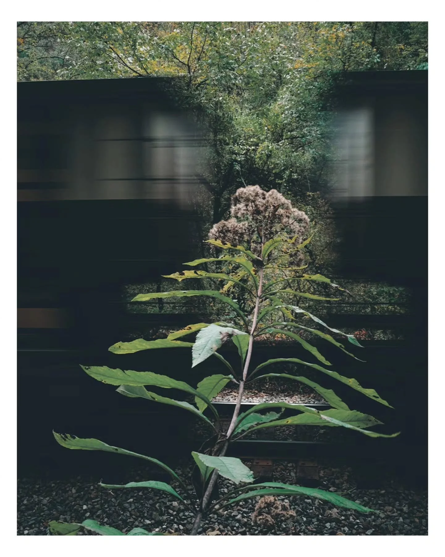 The last handful of shots from a recent trip to New River Gorge. Hope the week treats everyone well.