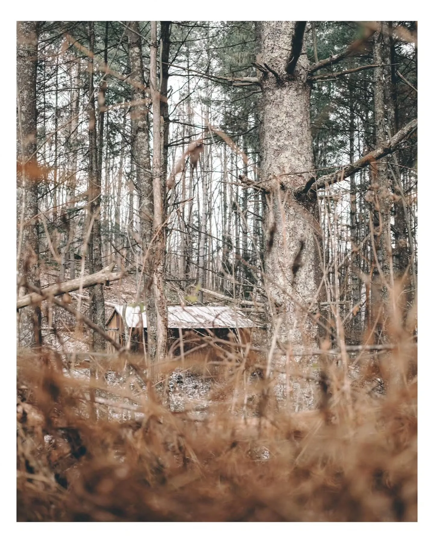 A handful from a trip to the mountains.

Hope the week's treating everyone well so far.