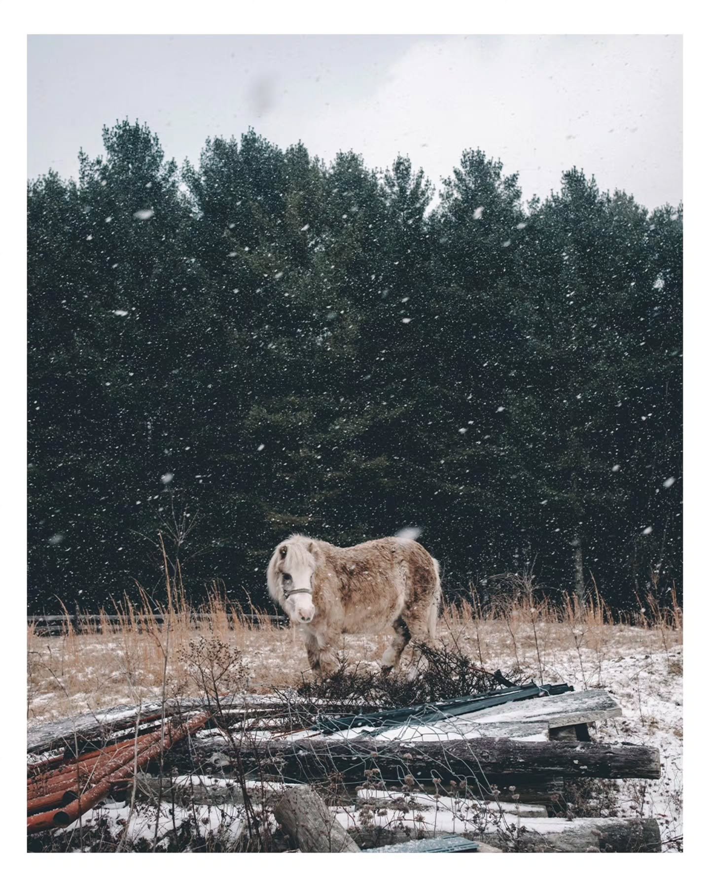 Much love to everyone who made it out Friday despite the weather. The support from family, friends, and new faces was amazing. Thank you. 🙏