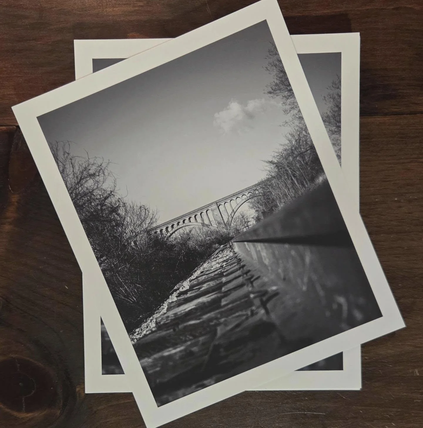 Fundraiser prints are in the wind. 🙏