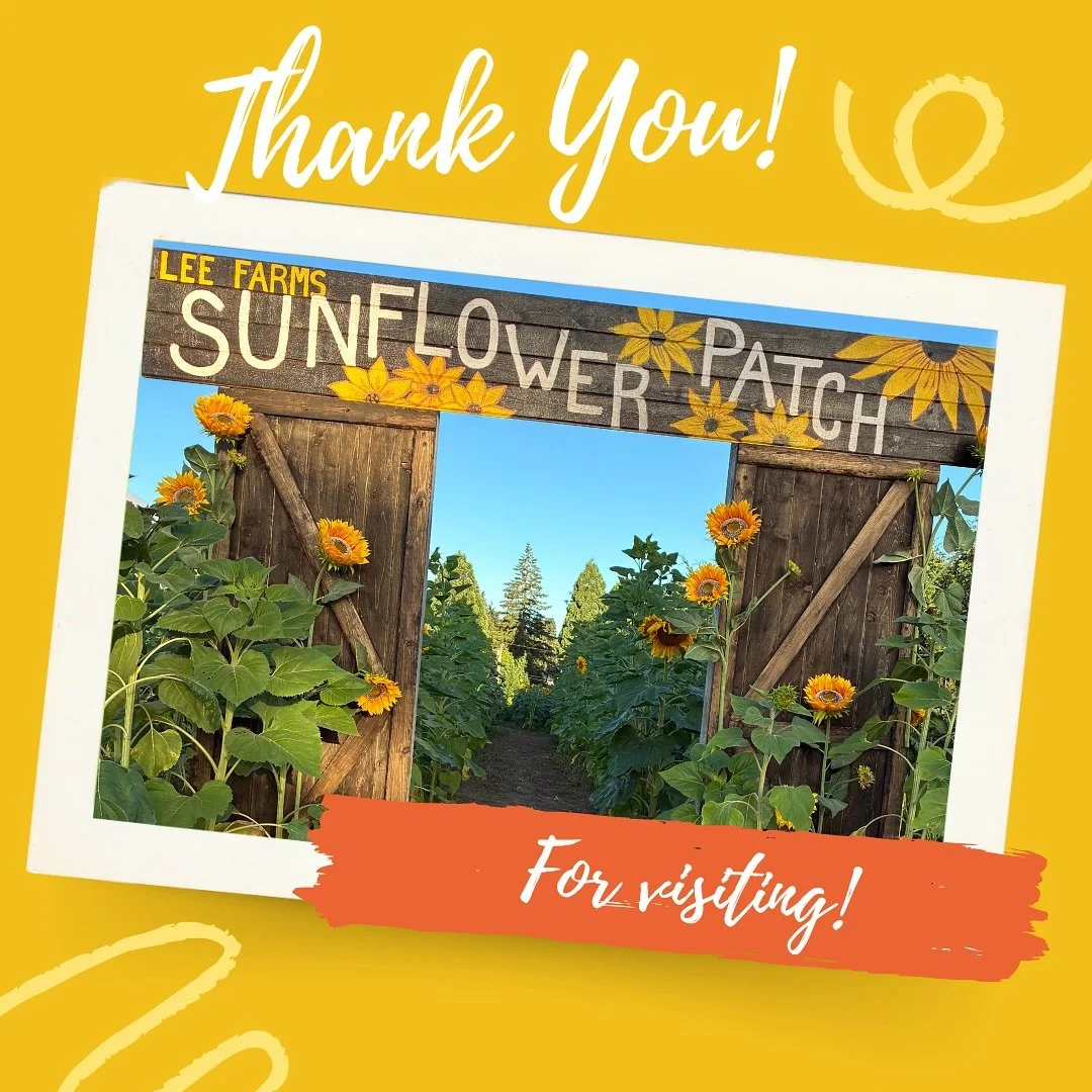 What a wonderful season!  Thank you to all of our visitors that enjoyed this Sunflower Season with us. 

We can&rsquo;t wait to see you next August. Or better yet?!-Come back and see us for our annual Fall Harvest Festival!