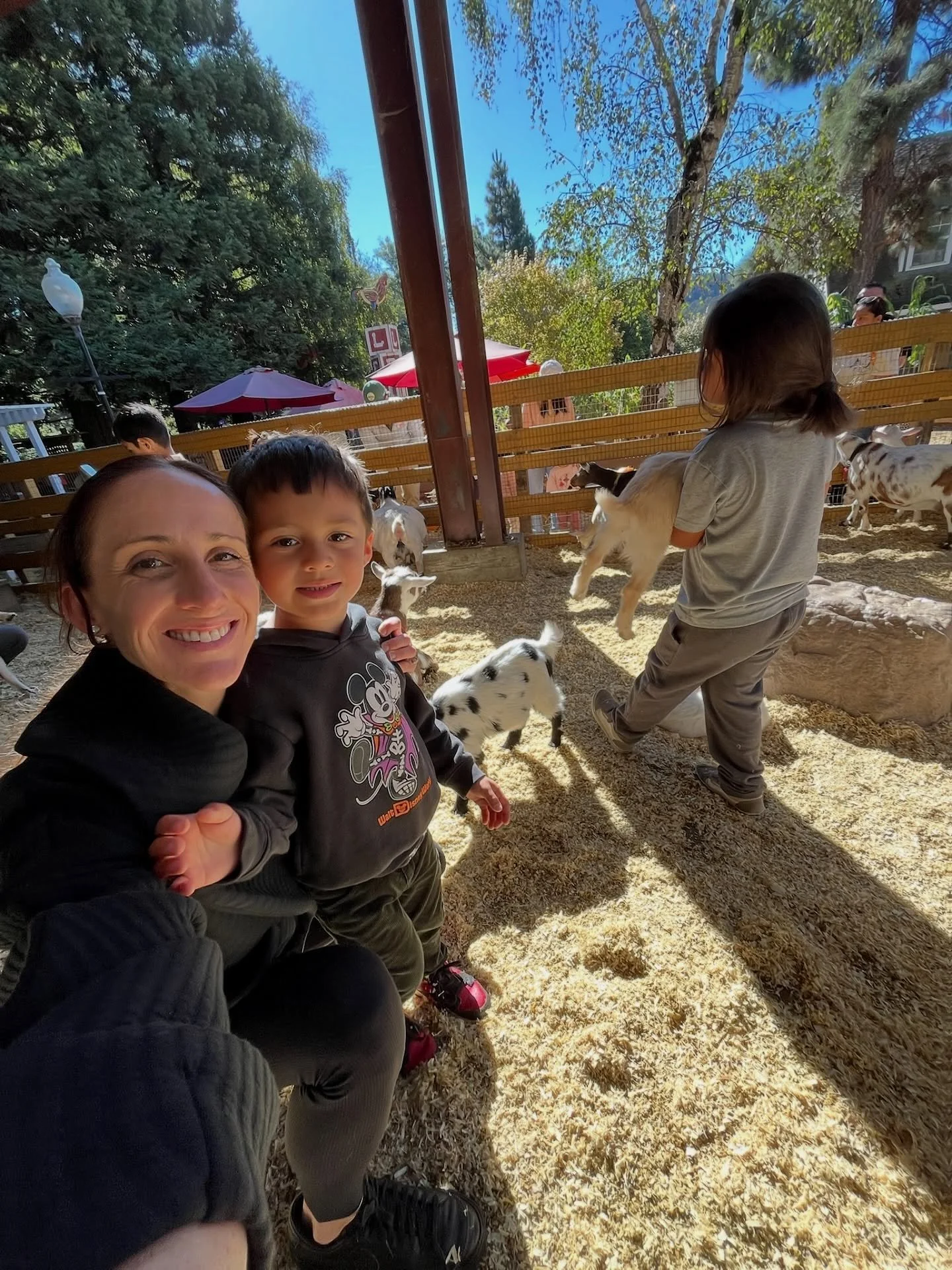 Autumn adventures continue 🎃🤎
@lemosfarmhmb