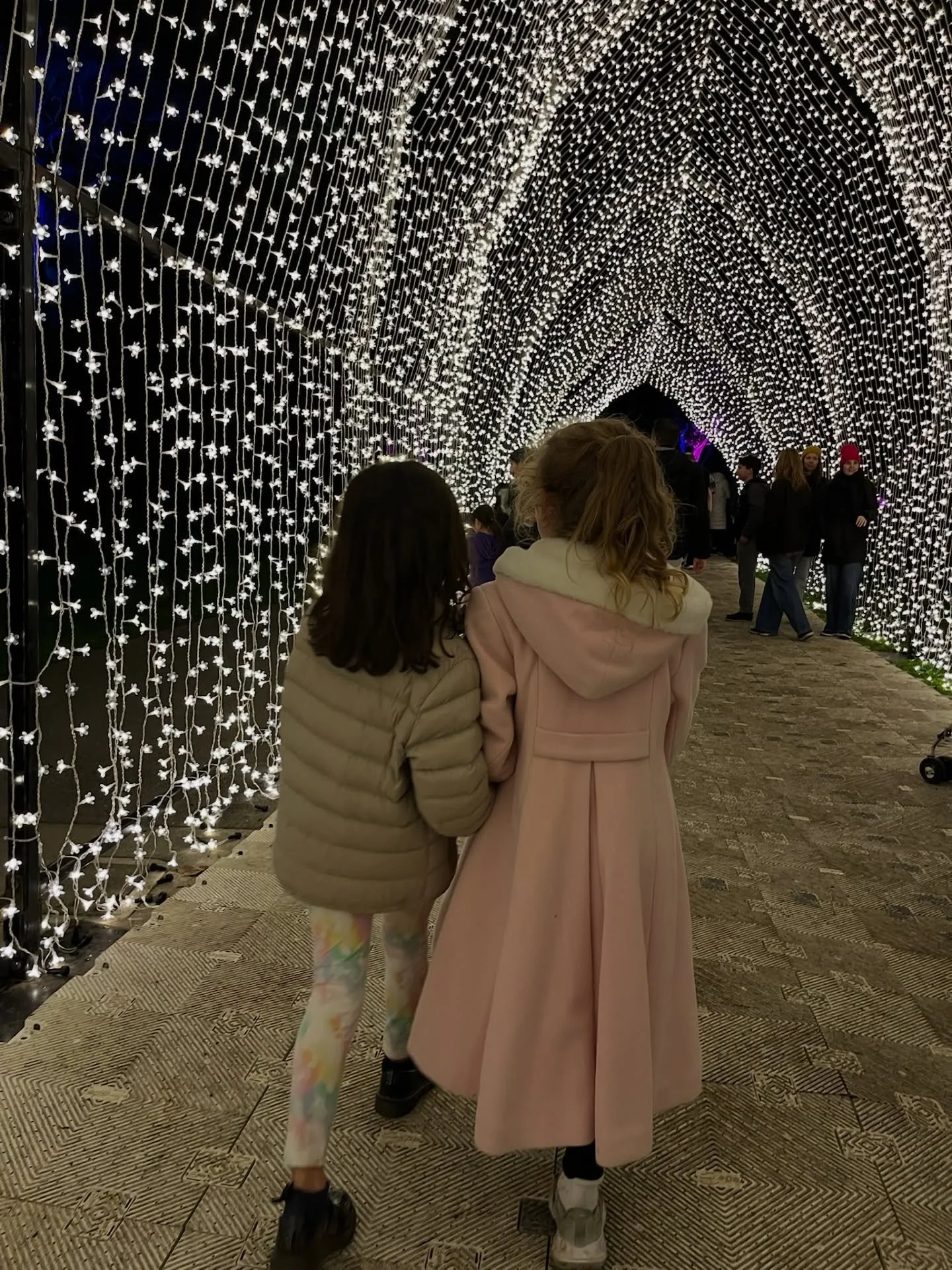 We went to see the beautiful lights and it felt like stepping into a dream. ✨