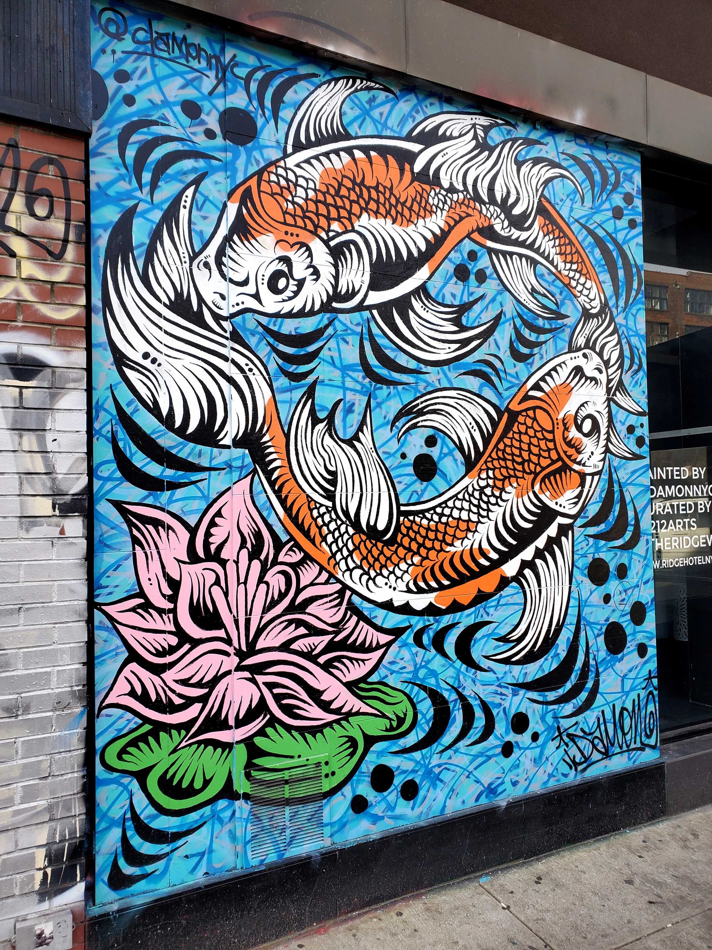 KOI LEFT SIDE.jpg