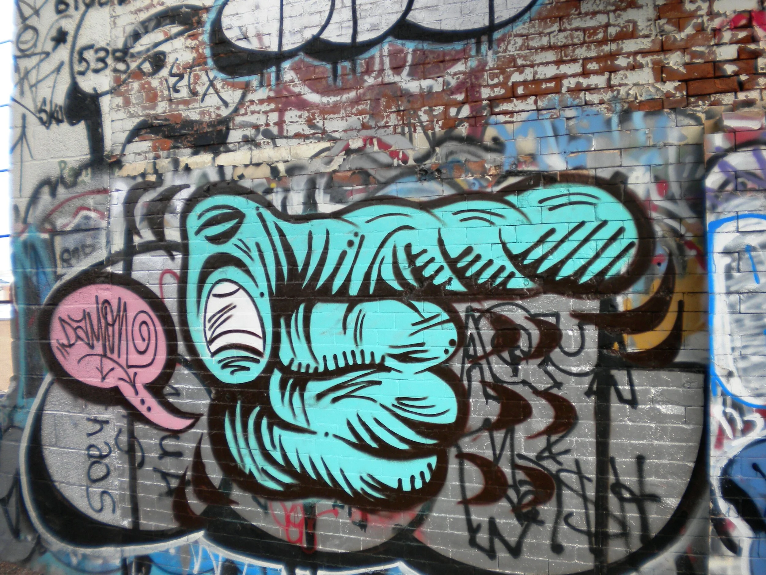Turquoise Pointer Finger Angle shot sunset park.jpg
