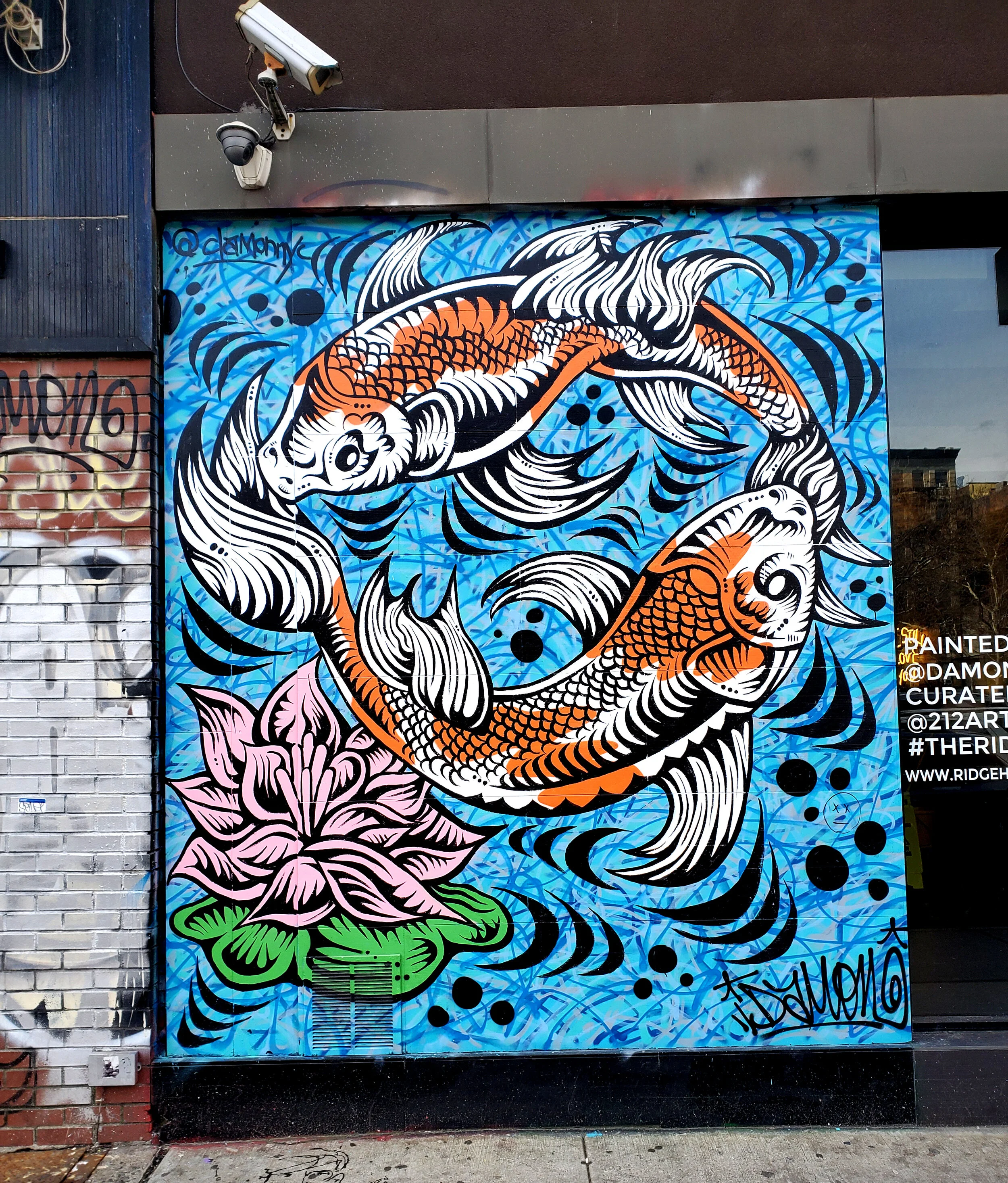 KOI.jpg