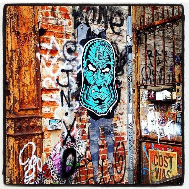 Blue head 2 2014.jpg