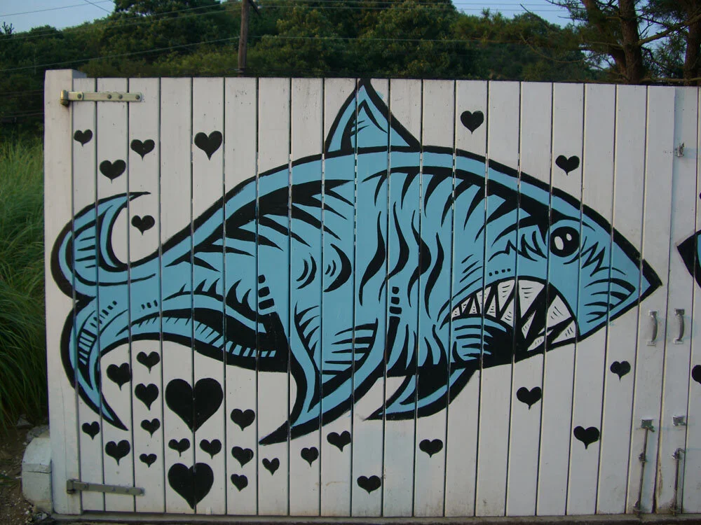 Sharks on left side.jpg