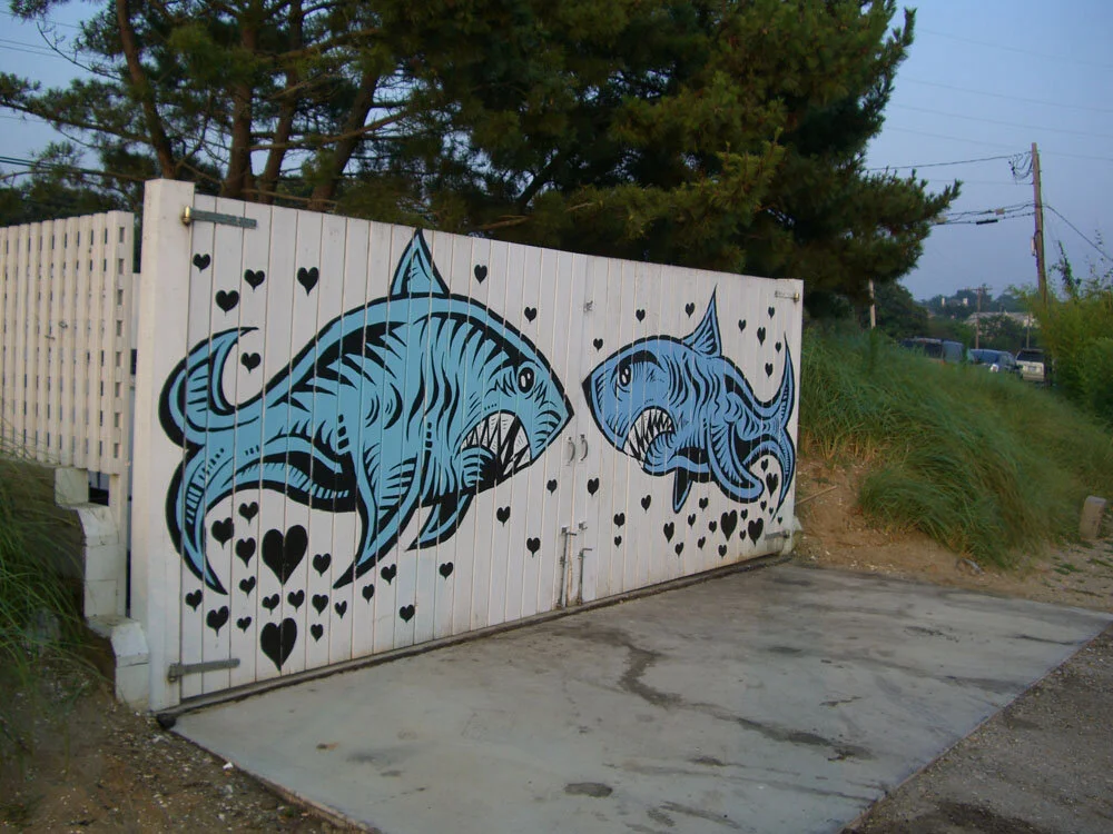 Sharks angle shot .jpg