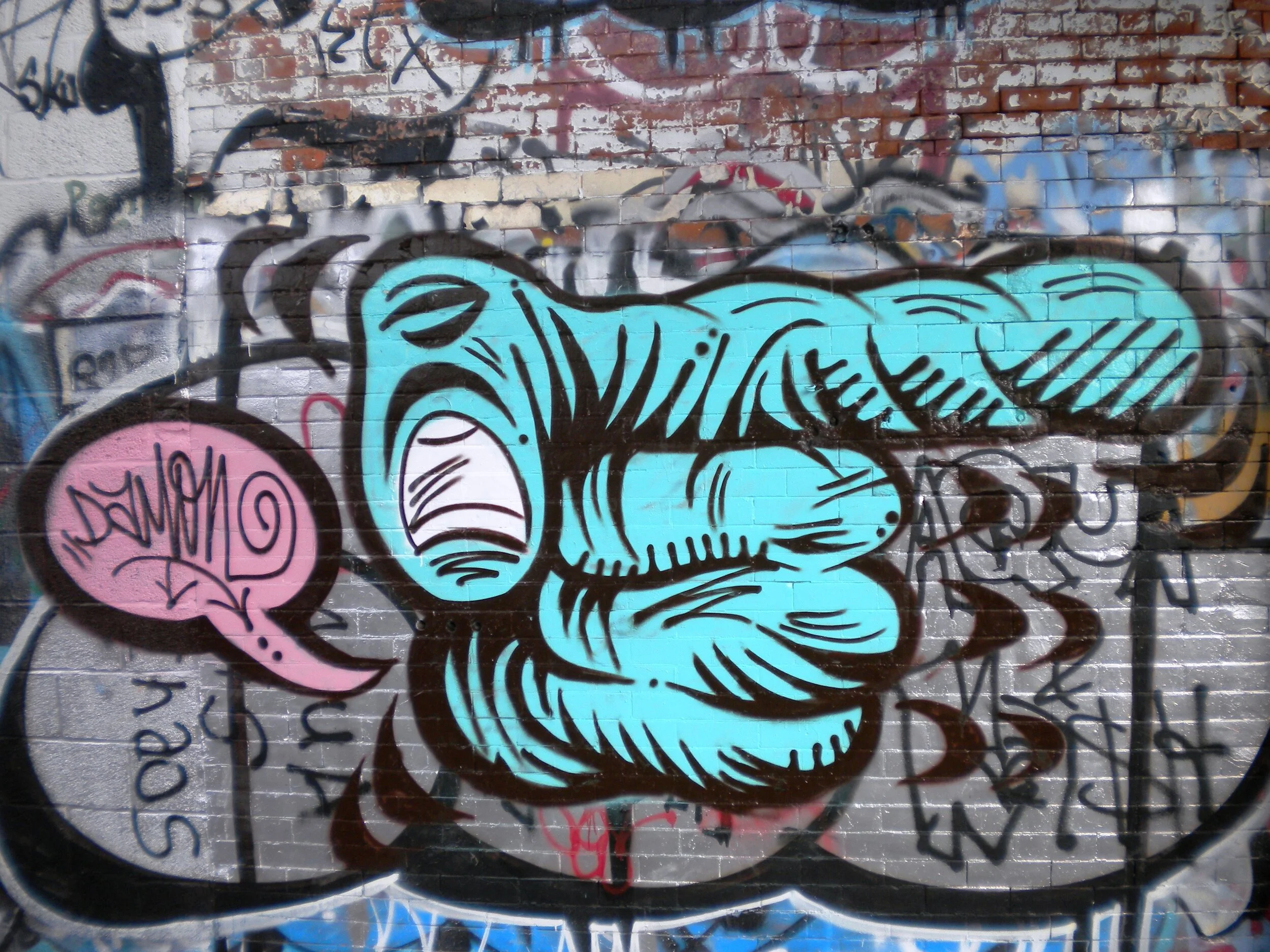 Turquoise Pointer Finger Close Up shot sunset park.jpg