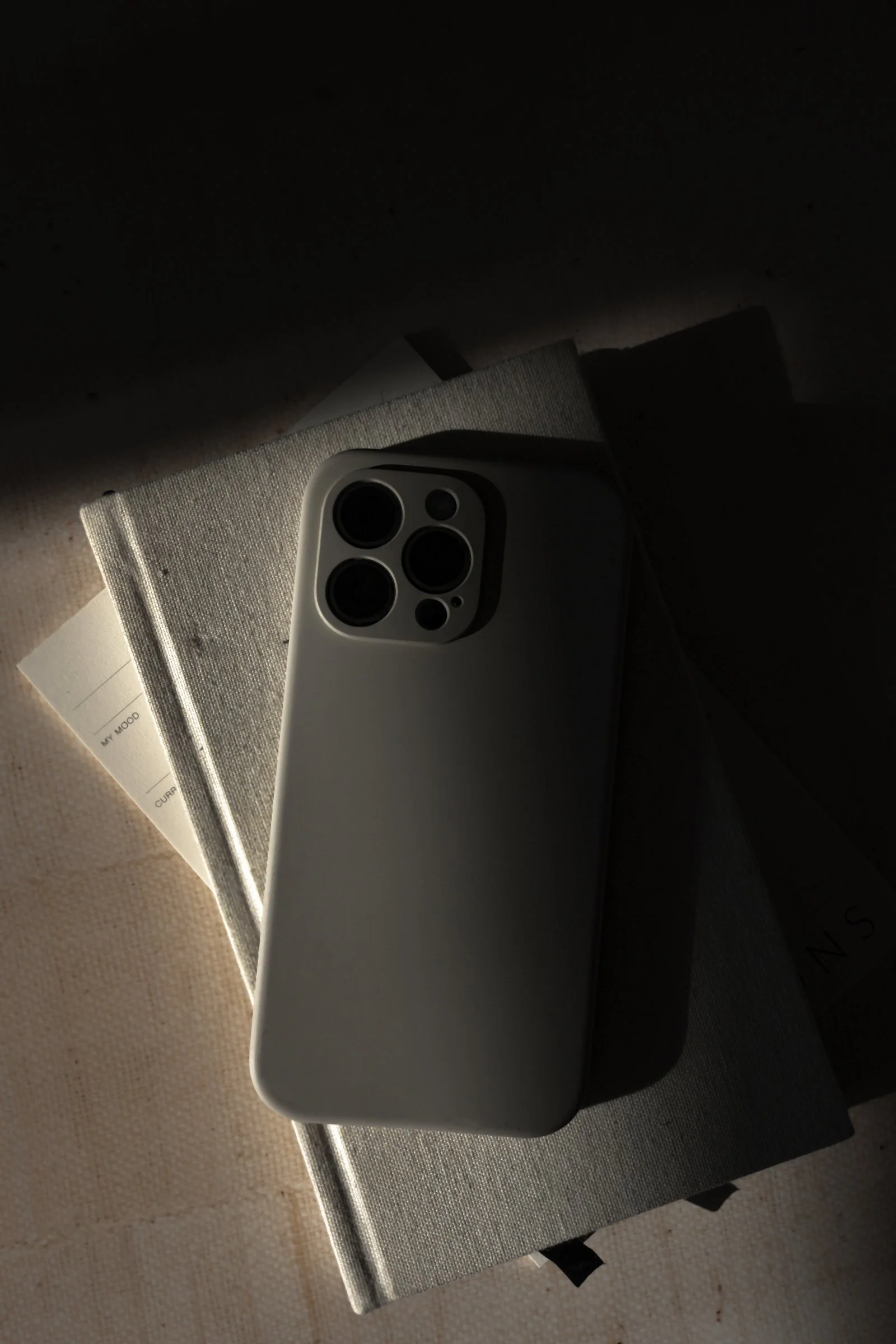 What Is the Future of the Executive Assistant Role and How Will it Evolve?