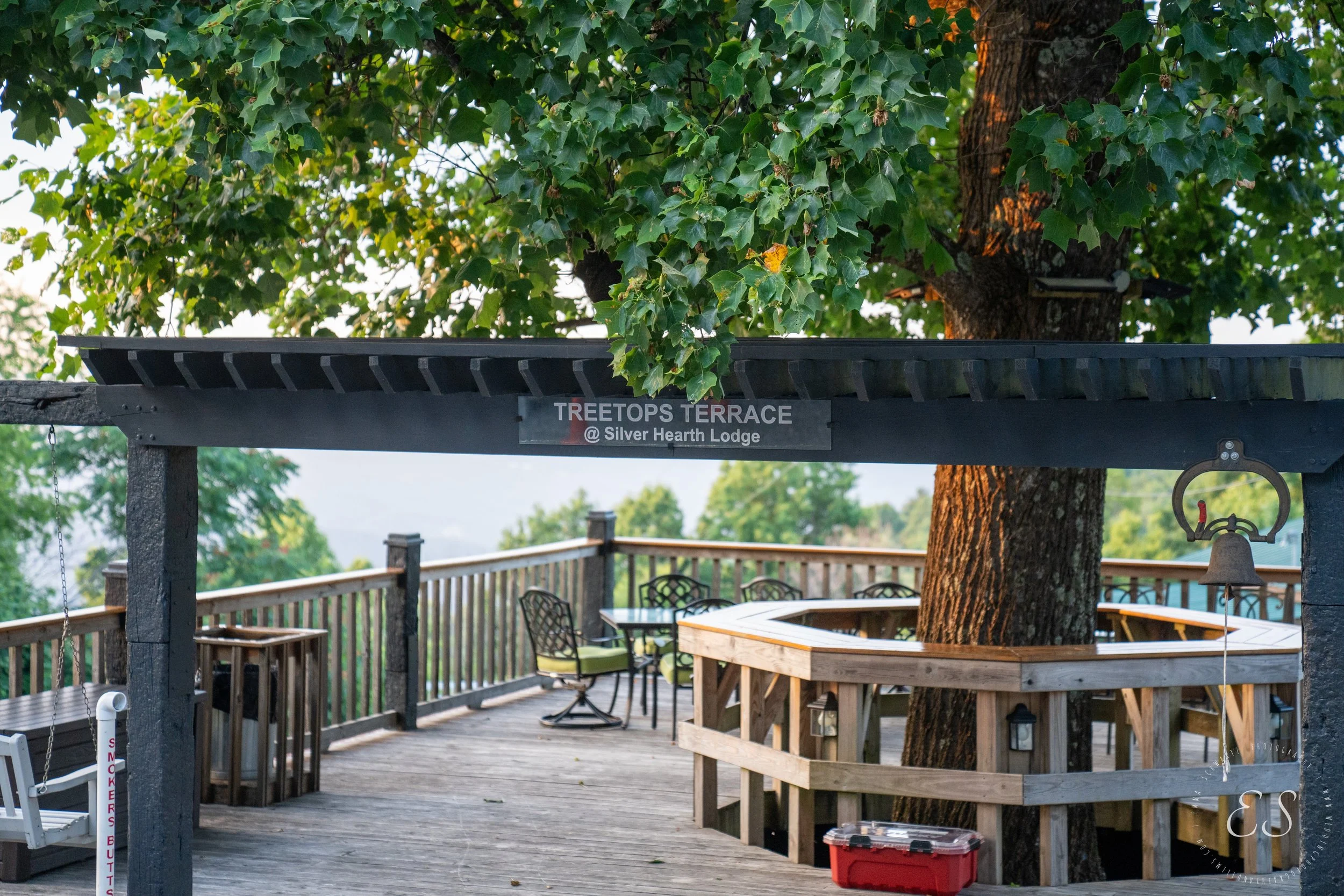 An outdoor wooden deck with seating around a large tree, surrounded by a railing, and a sign that reads 'Treetops Terrace @ Silver Hearth Lodge'.