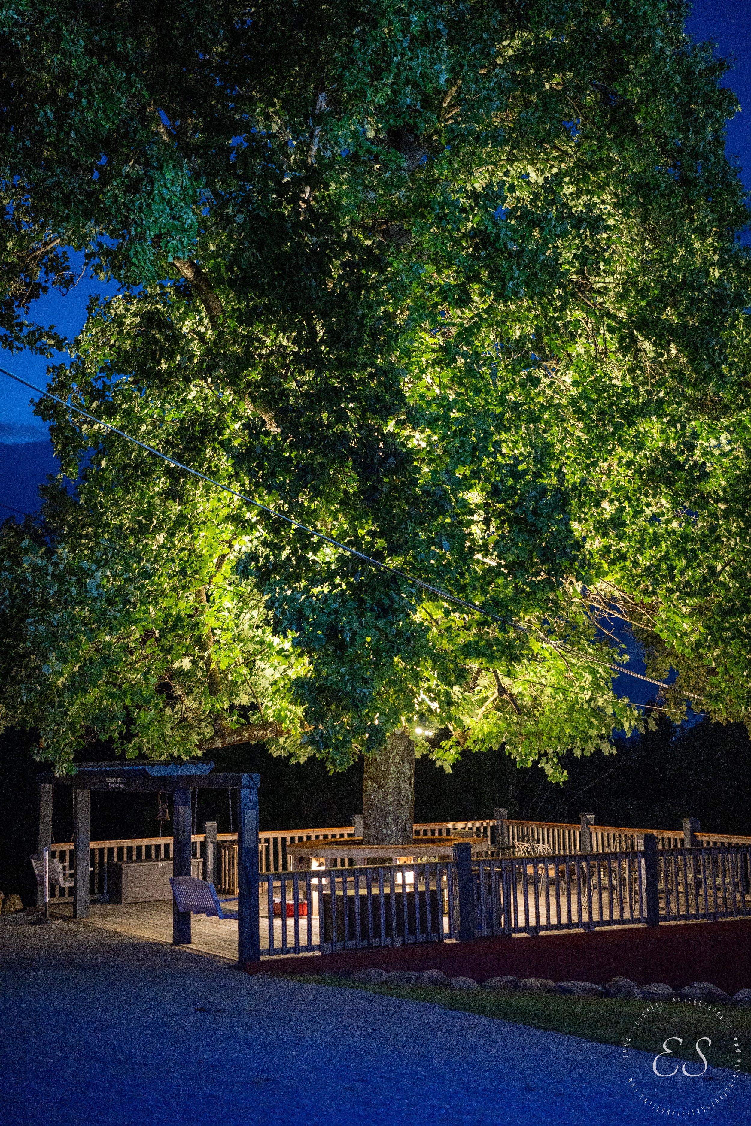 Nighttime scene of a large, illuminated leafy tree on a wooden deck surrounded by a railing with patio furniture, under a dark blue sky.