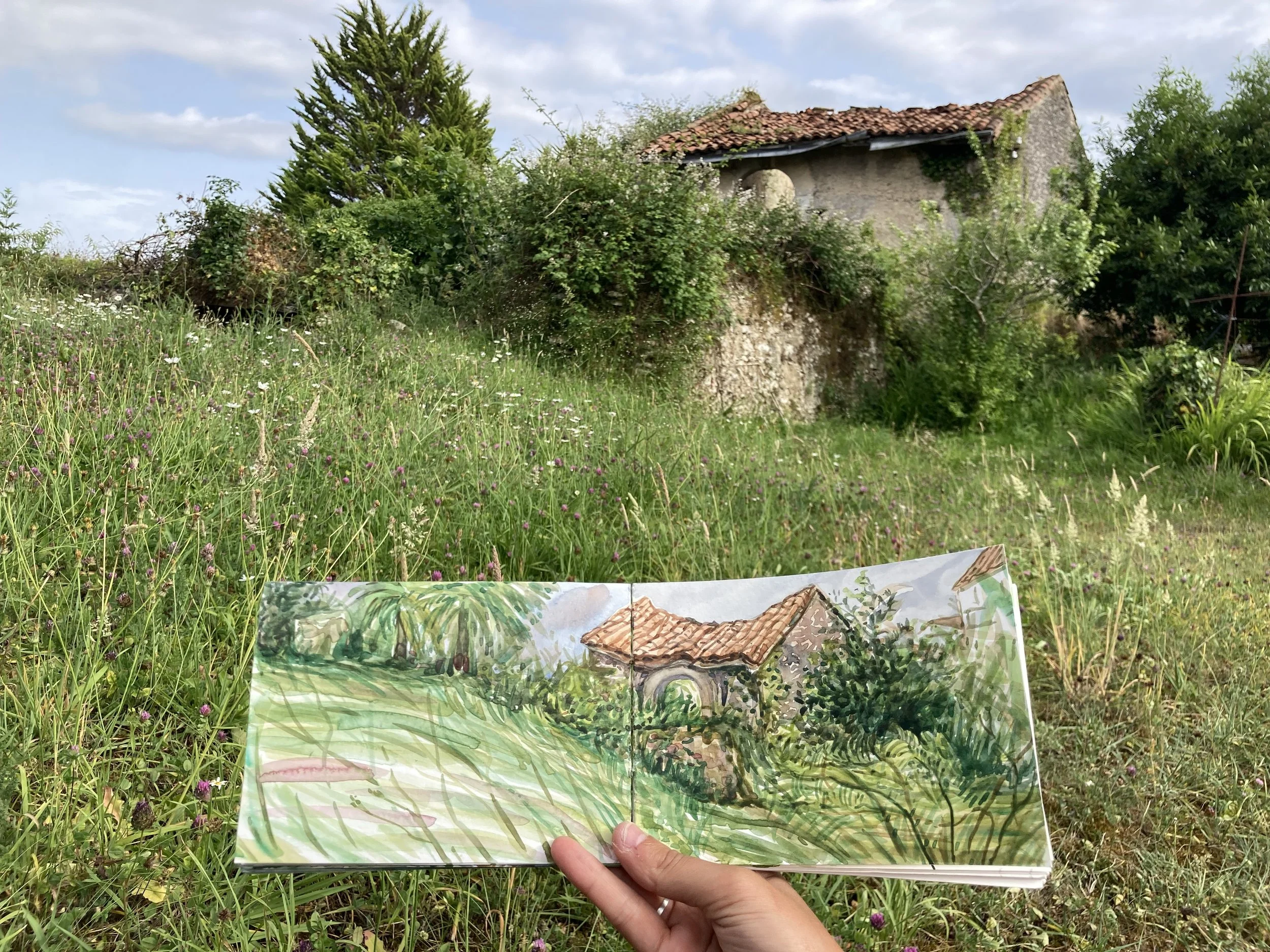 Camino Paintings
