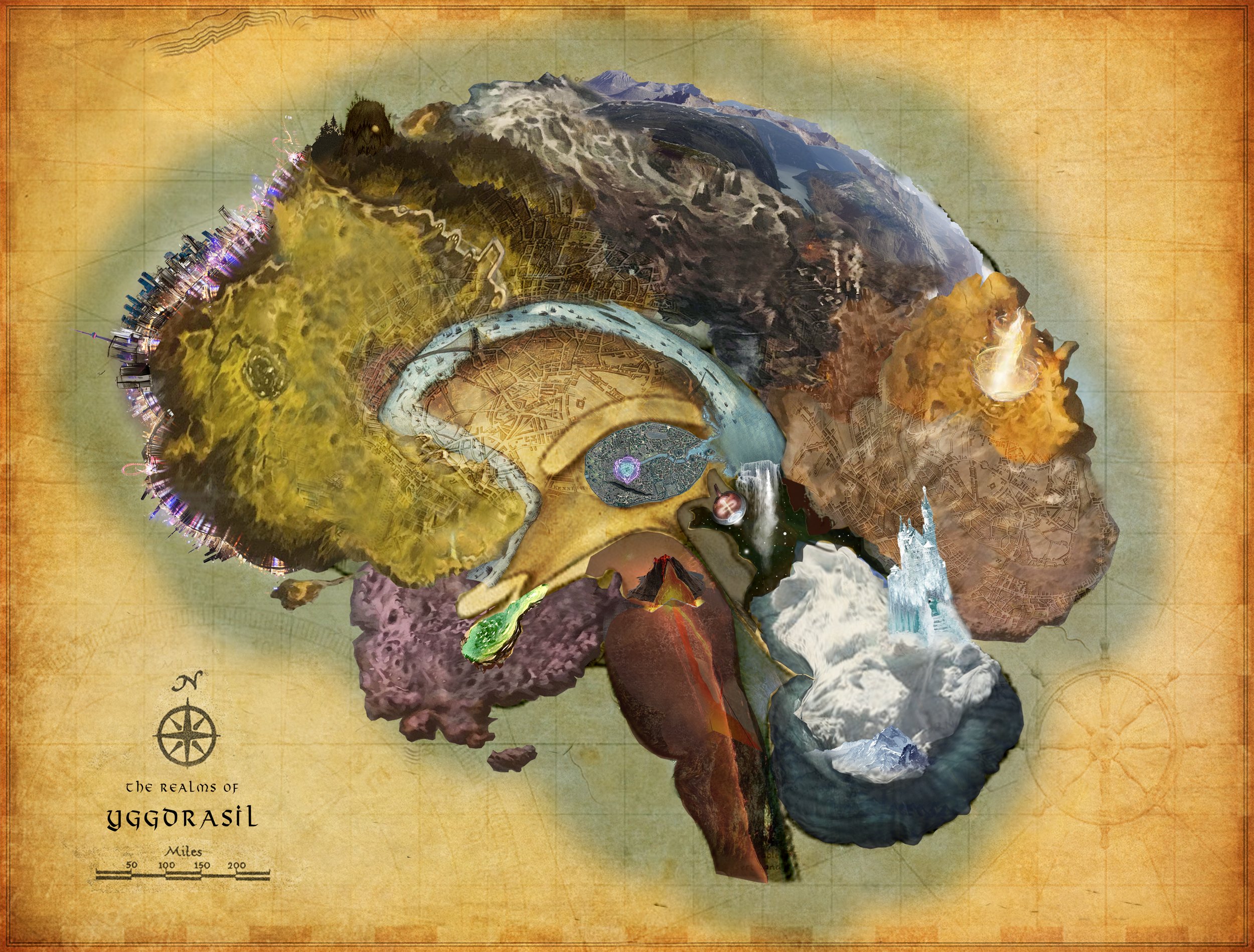 BrainMap.jpg