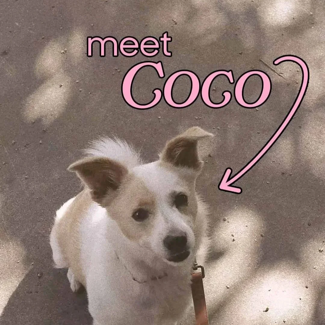 Samsung SmartThings Social