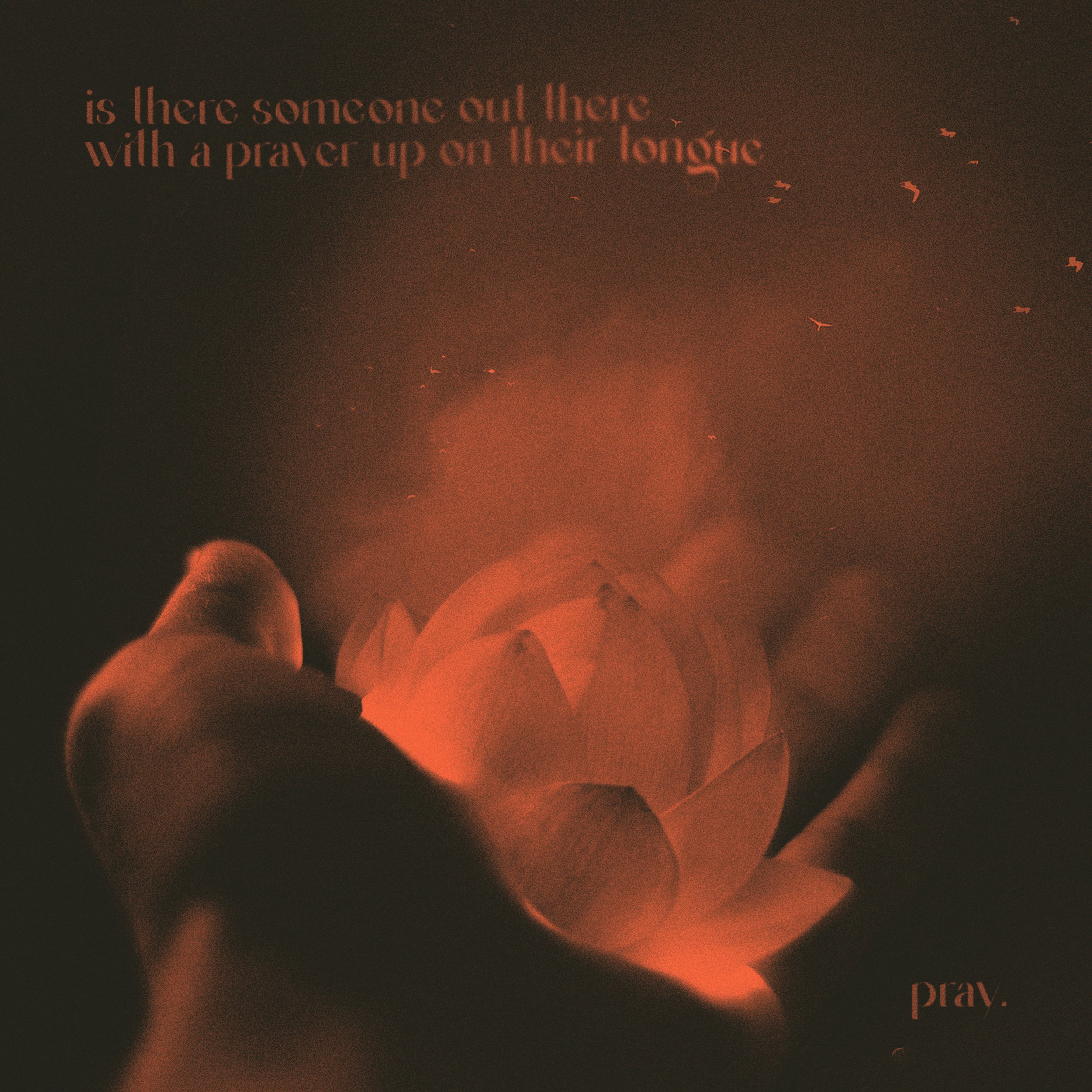 pray-3.jpg