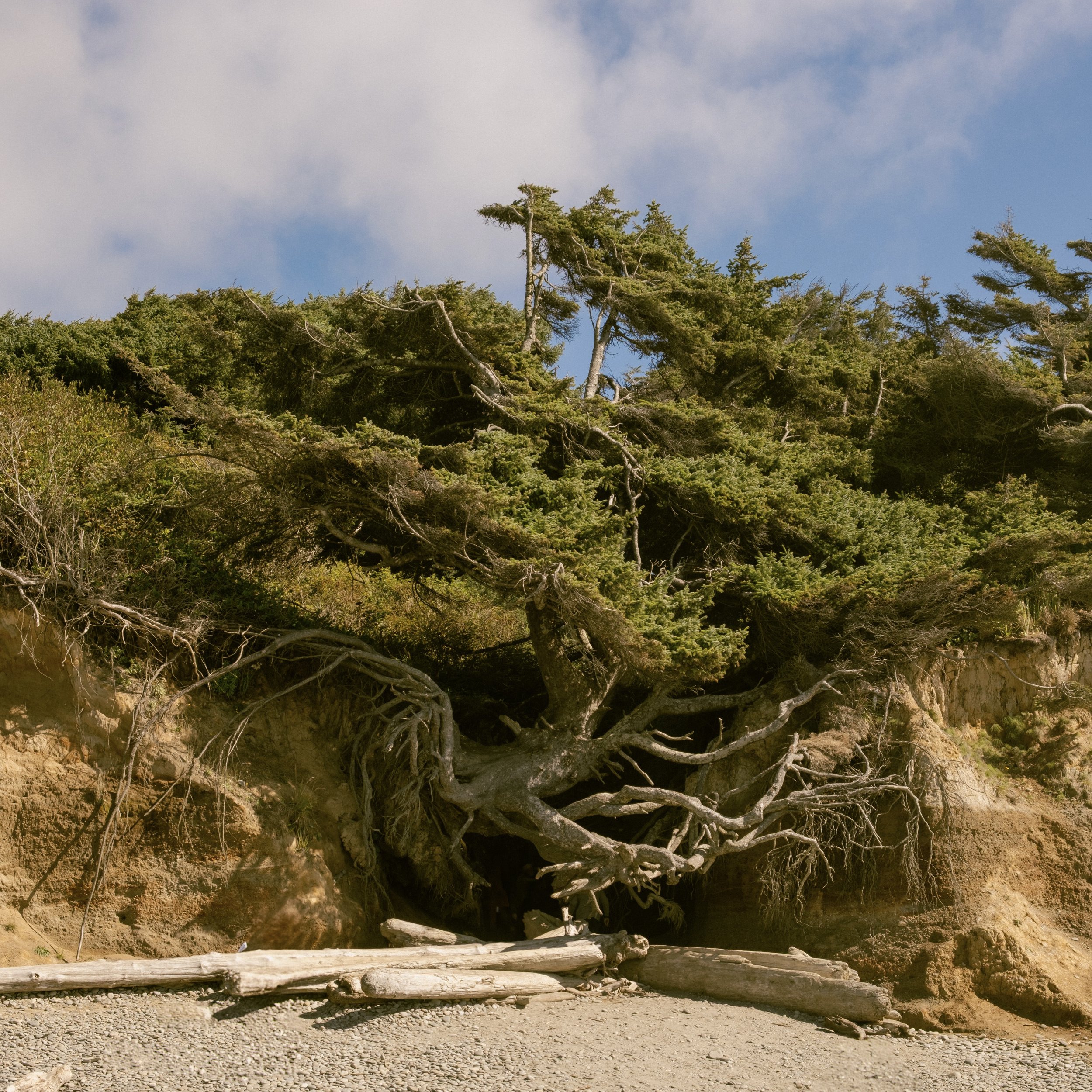DSCF0930.jpg