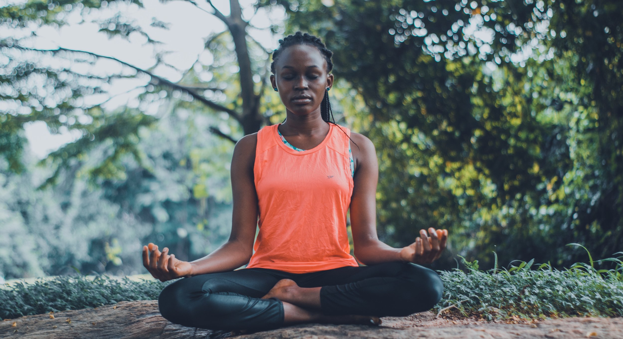Meditation and the Brain