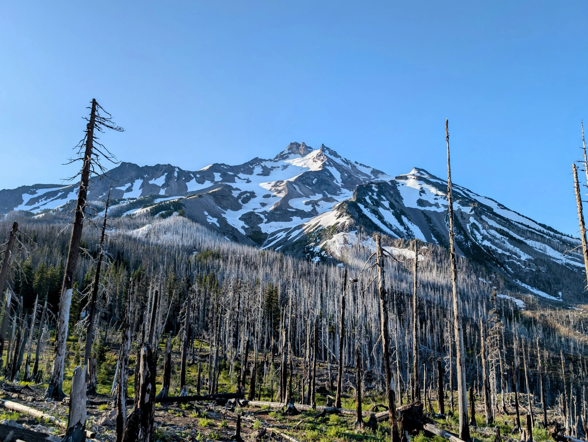 Wildfire Support