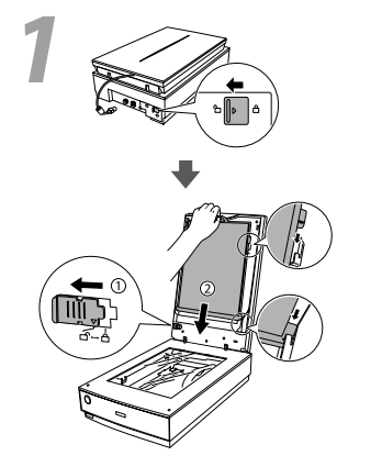 Microchip Scanner V800 Getting Started with the Epson Perfection V800 Scanner — michaels ...