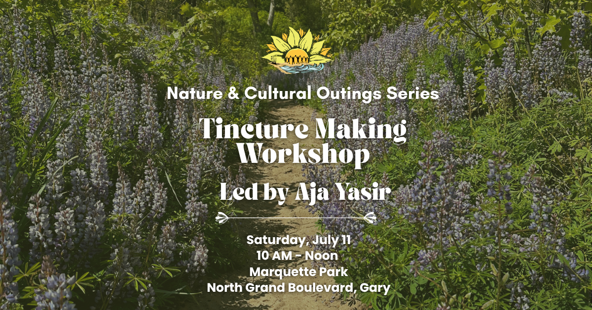 Tincture Making Workshop With Aja Yasir