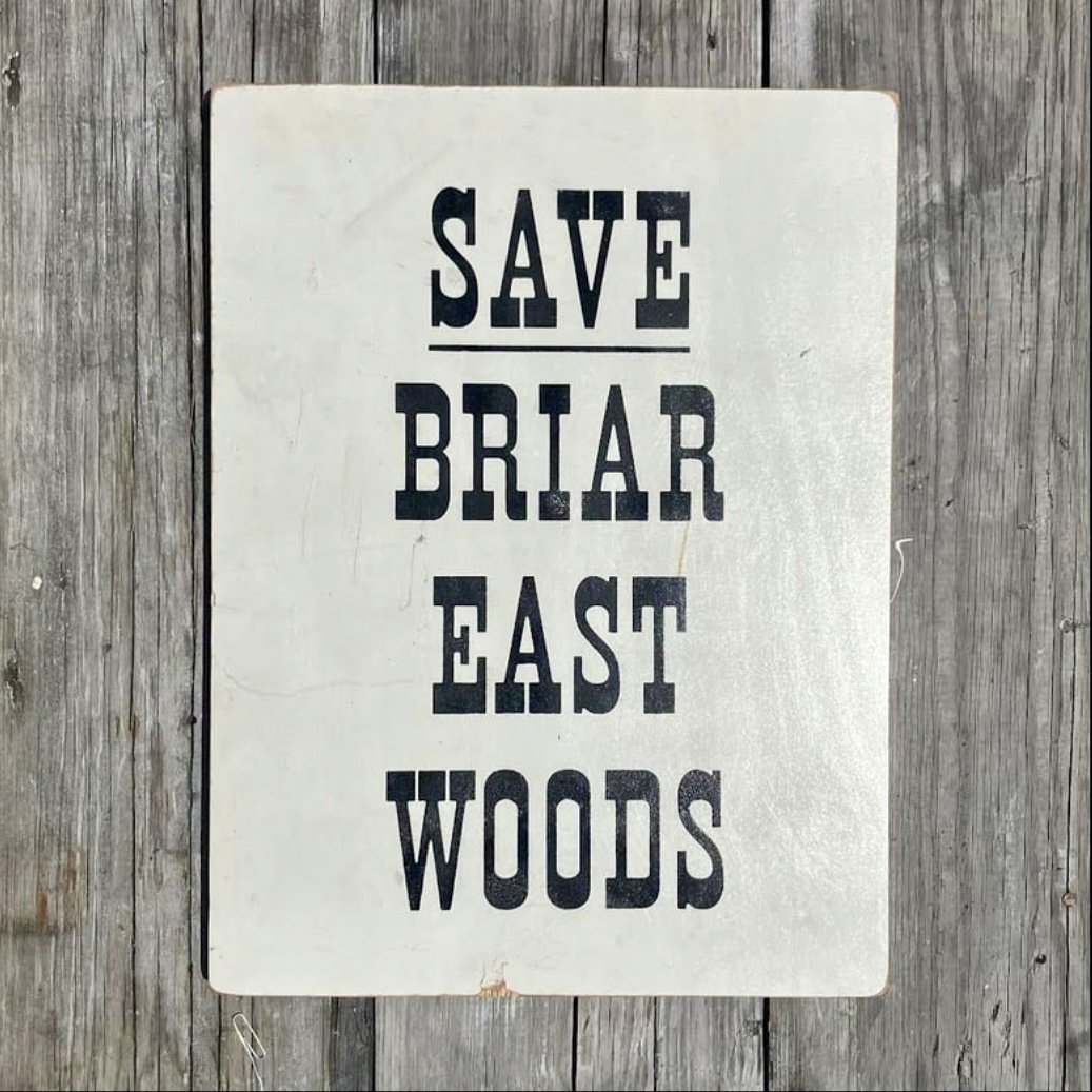 Save Briar East Woods by Casey King