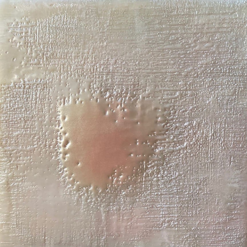 Winters Light / 6" x 6"