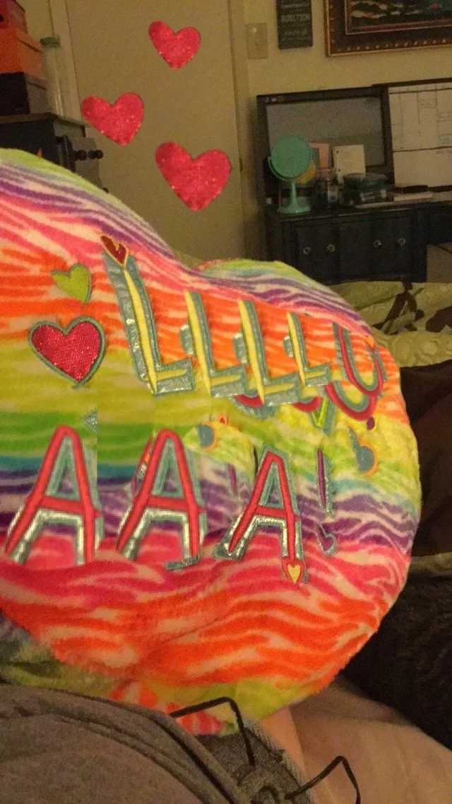 180605 Snapchat Corrupted Pillow.jpg
