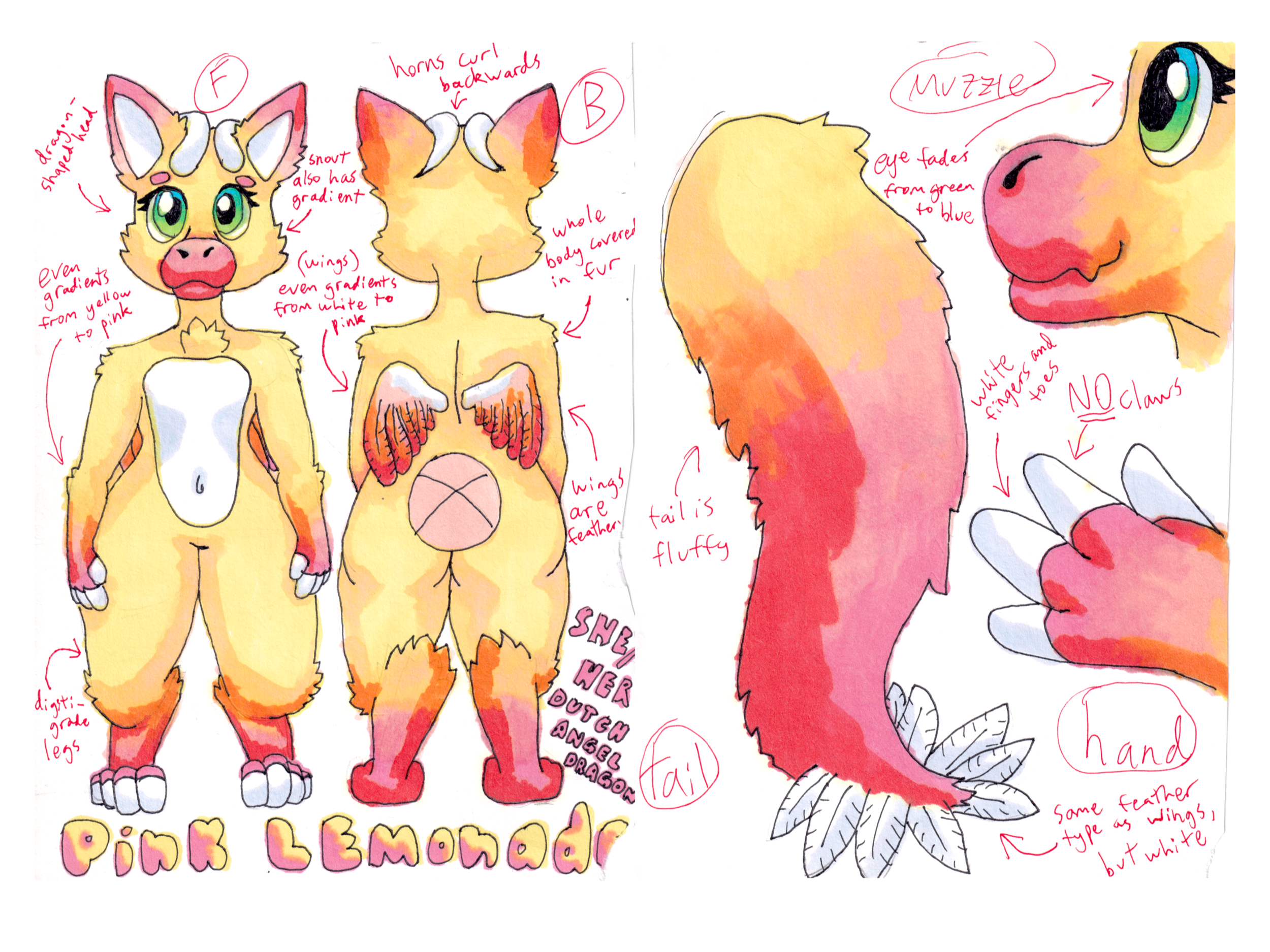 11x14_print_sketchbook8.png