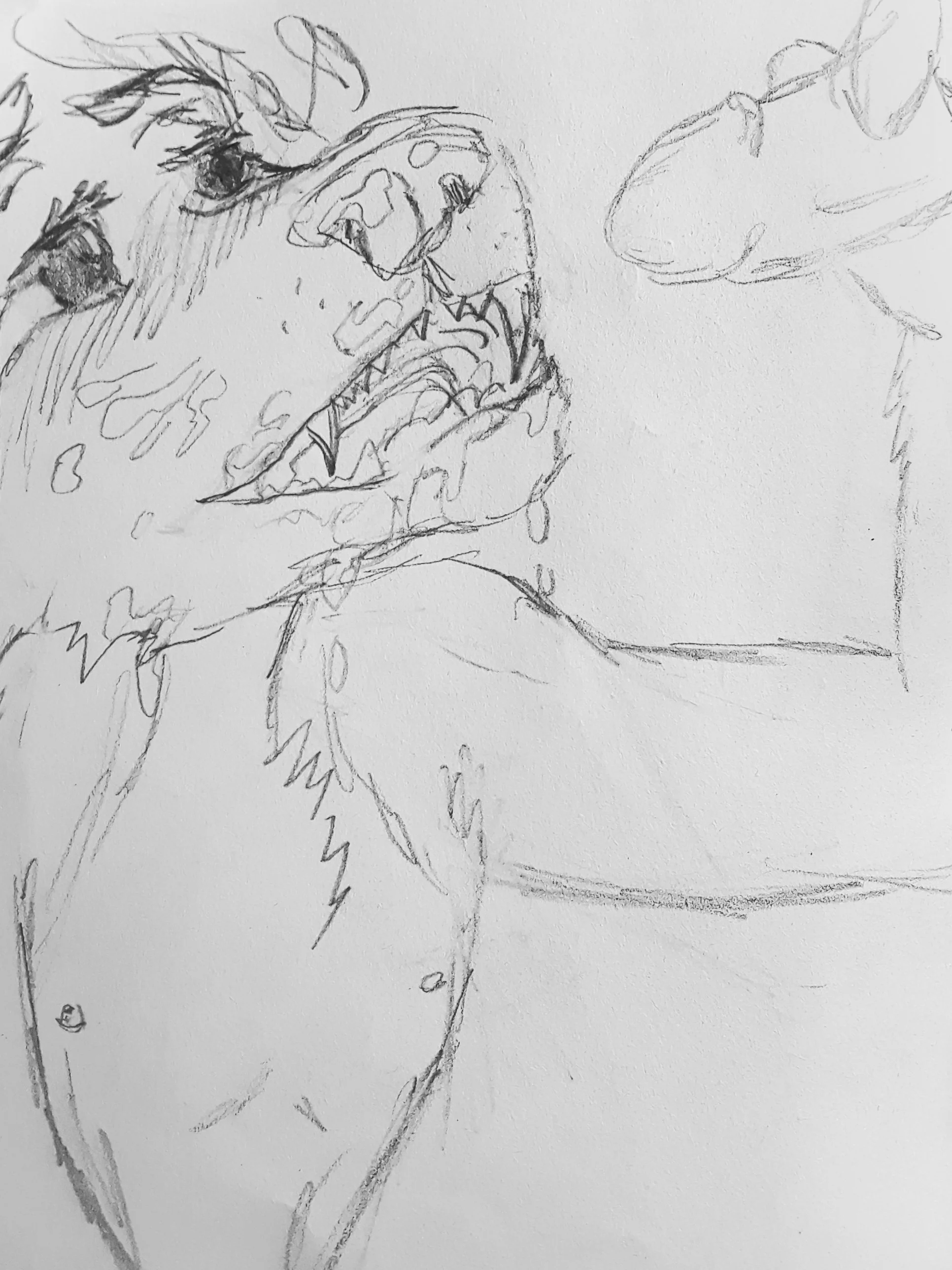 2019-09-24 19.11.43-2-1 (edited).jpg