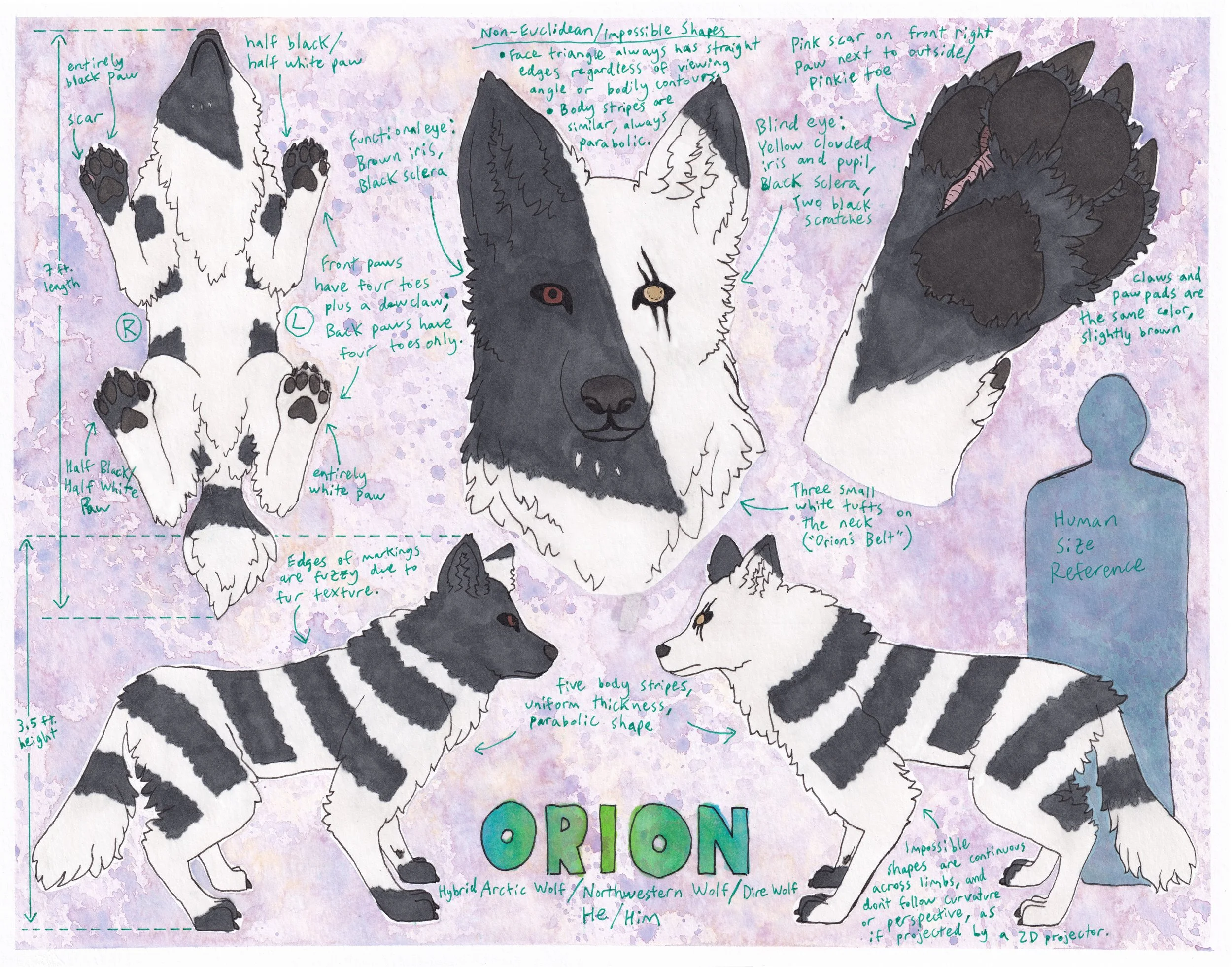 Orion_Refsheet_Grafted_With_Touchups_Downscaled.jpg