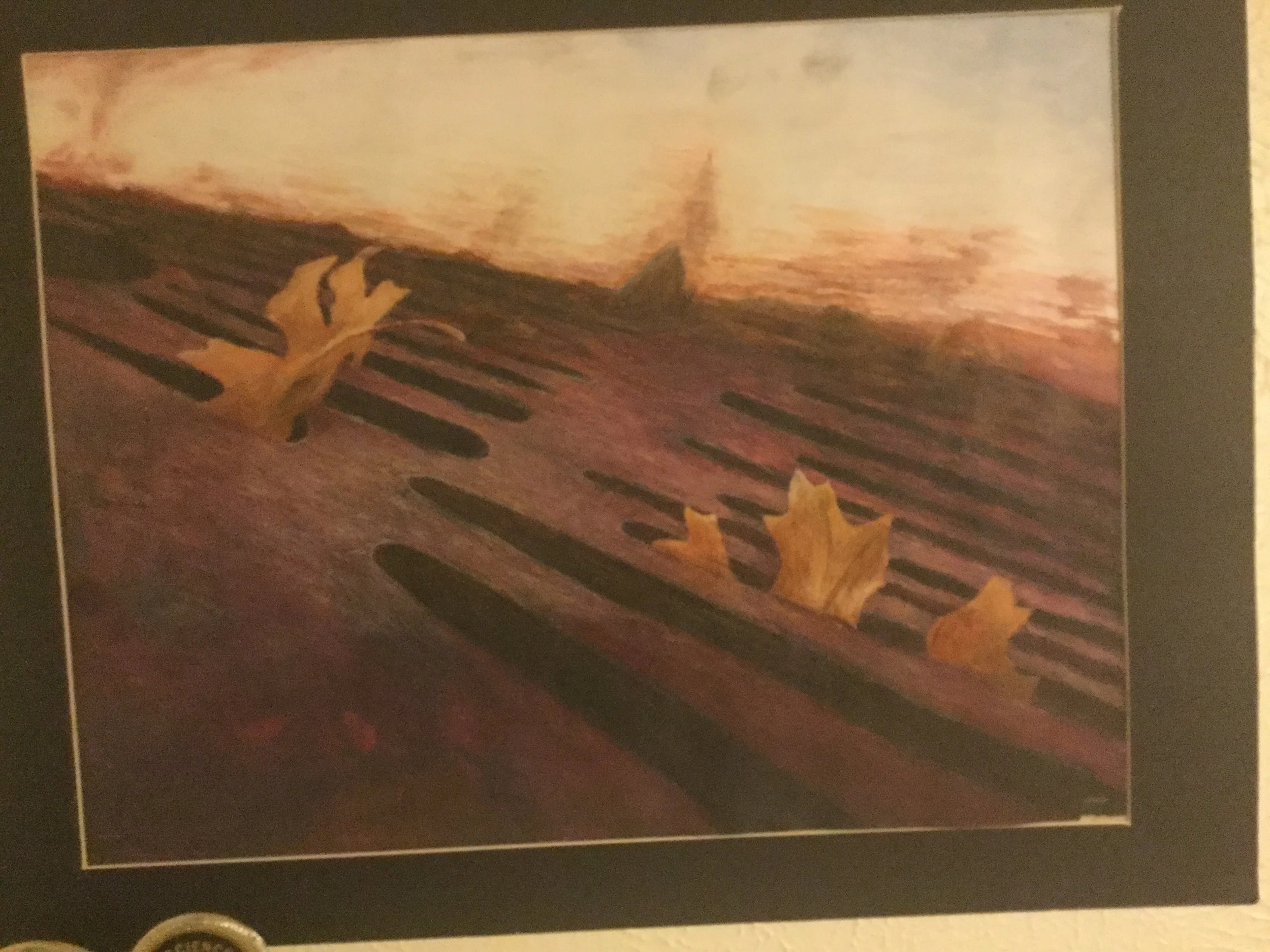 170730 Leaves in a Grate.jpg