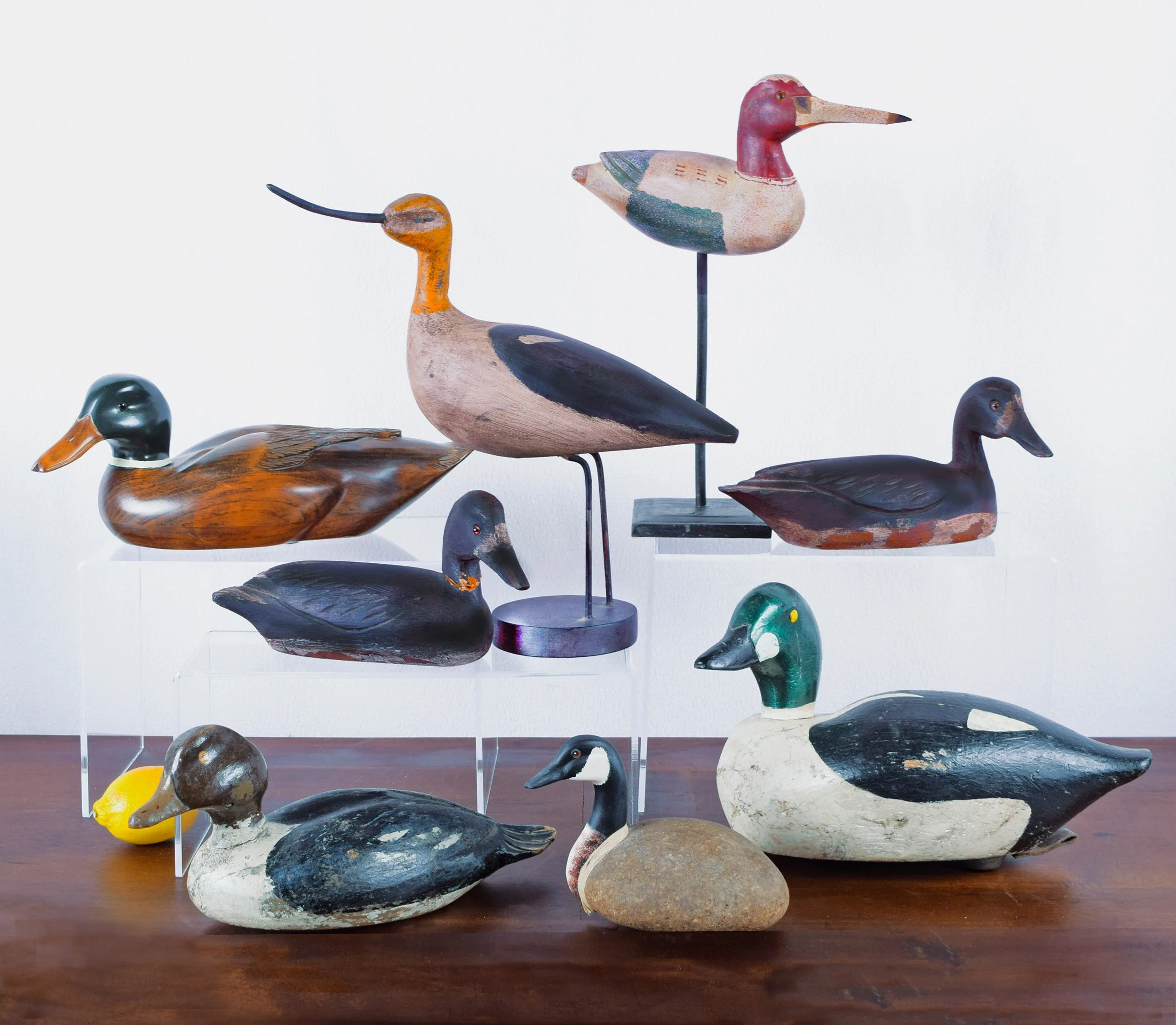 Ducks_Collection_1.jpg