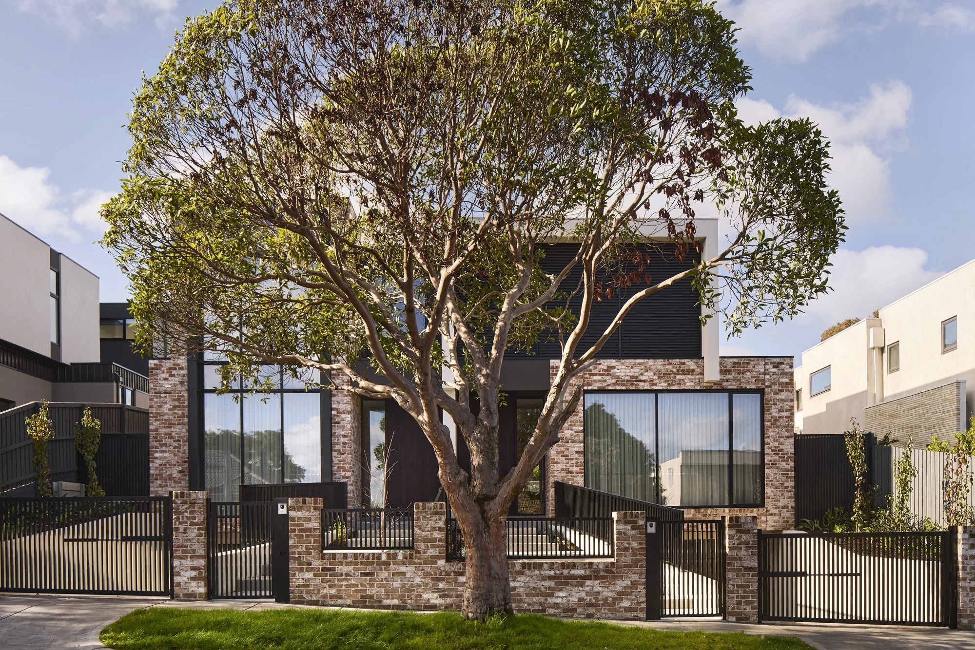 PEATE AV GLEN IRIS
