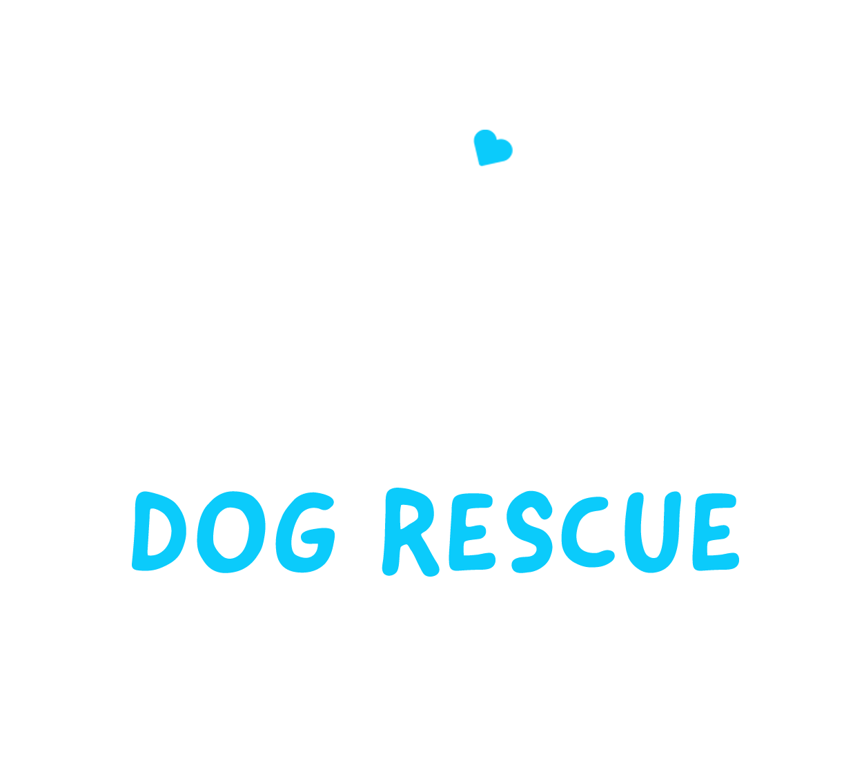 Dog Rescue Newcastle