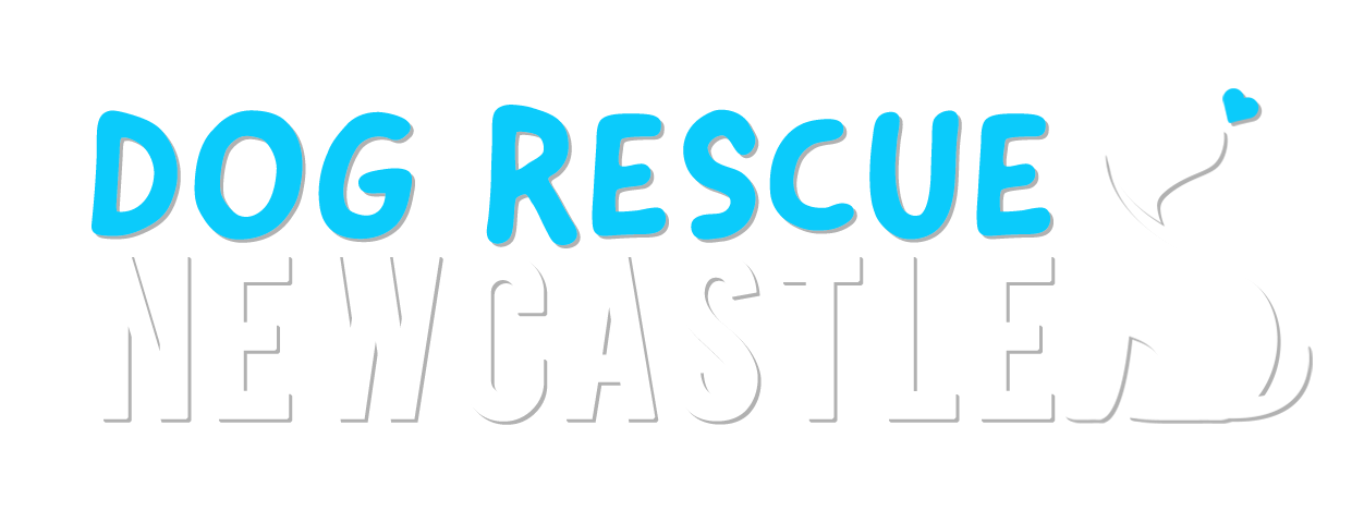 Dog Rescue Newcastle