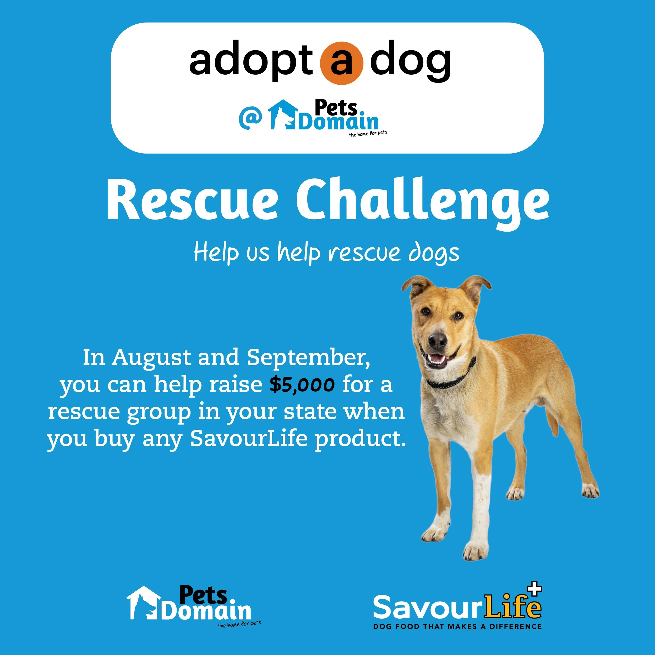 SavourLife and Pets Domain Rescue Challenge