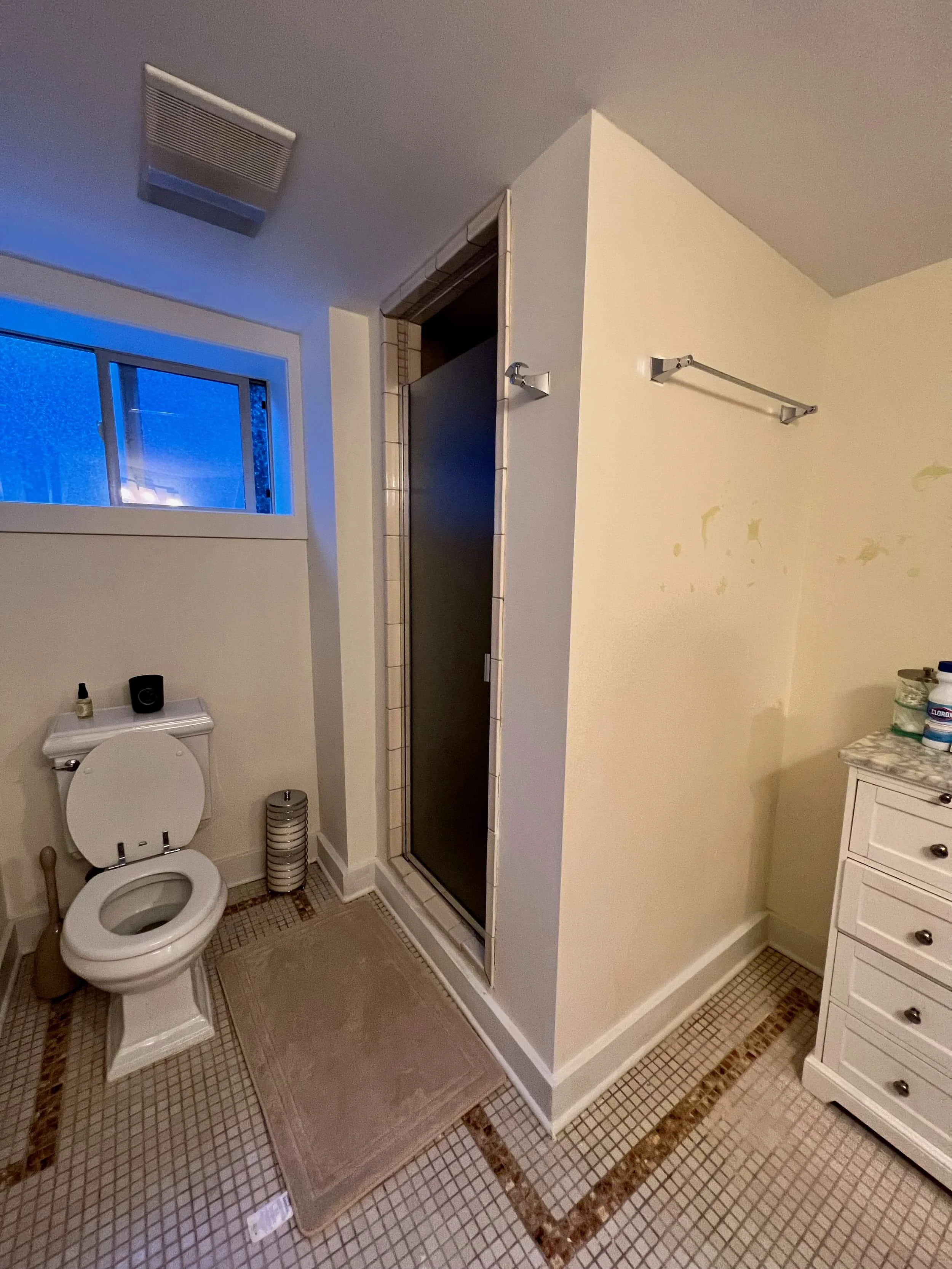 Bathroom with a toilet, shower, window, and cabinet.