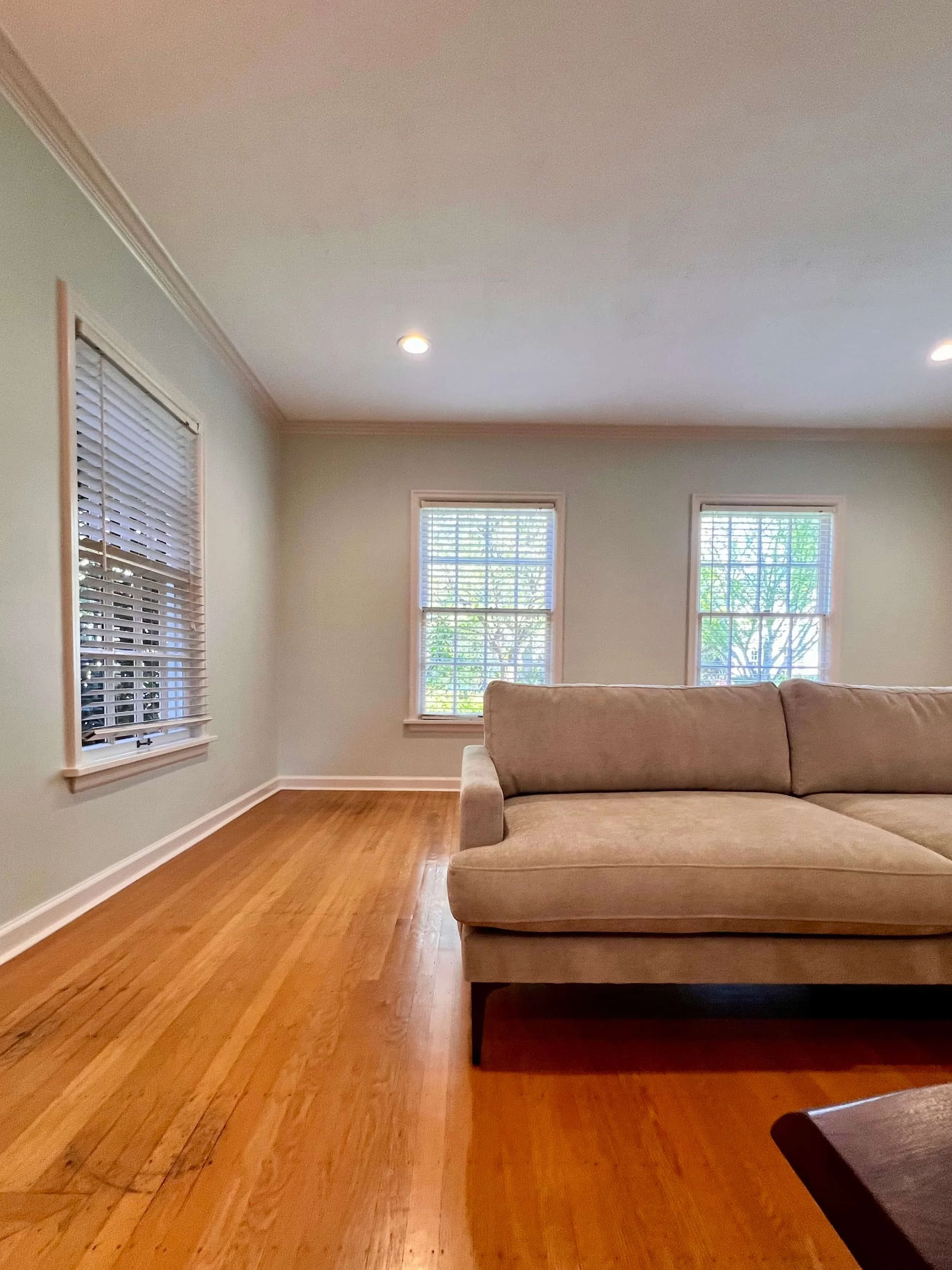 Living room with hardwood floors, light green walls, three windows with blinds, and a beige sofa.