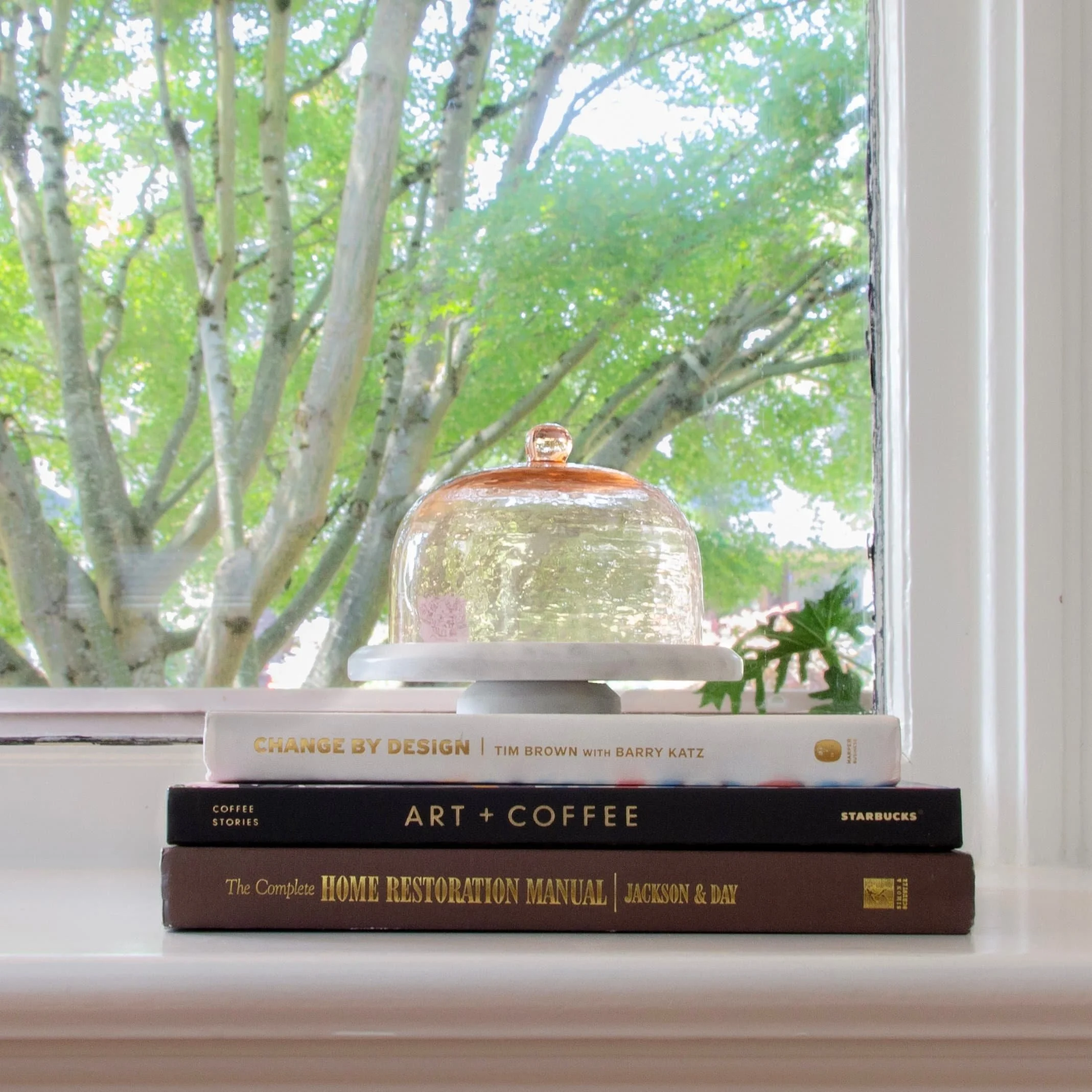 Books stacked on a windowsill with a glass cake stand on top, overlooking a tree outside.