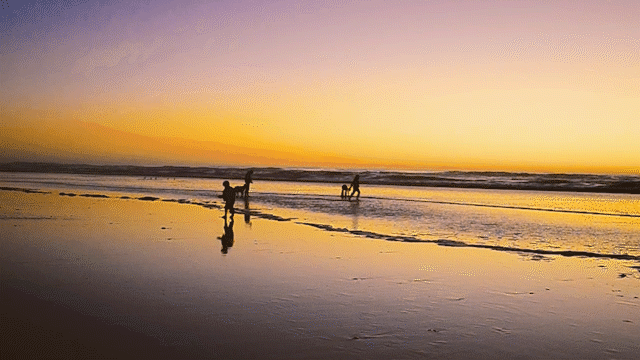 home page_GIF_5.gif