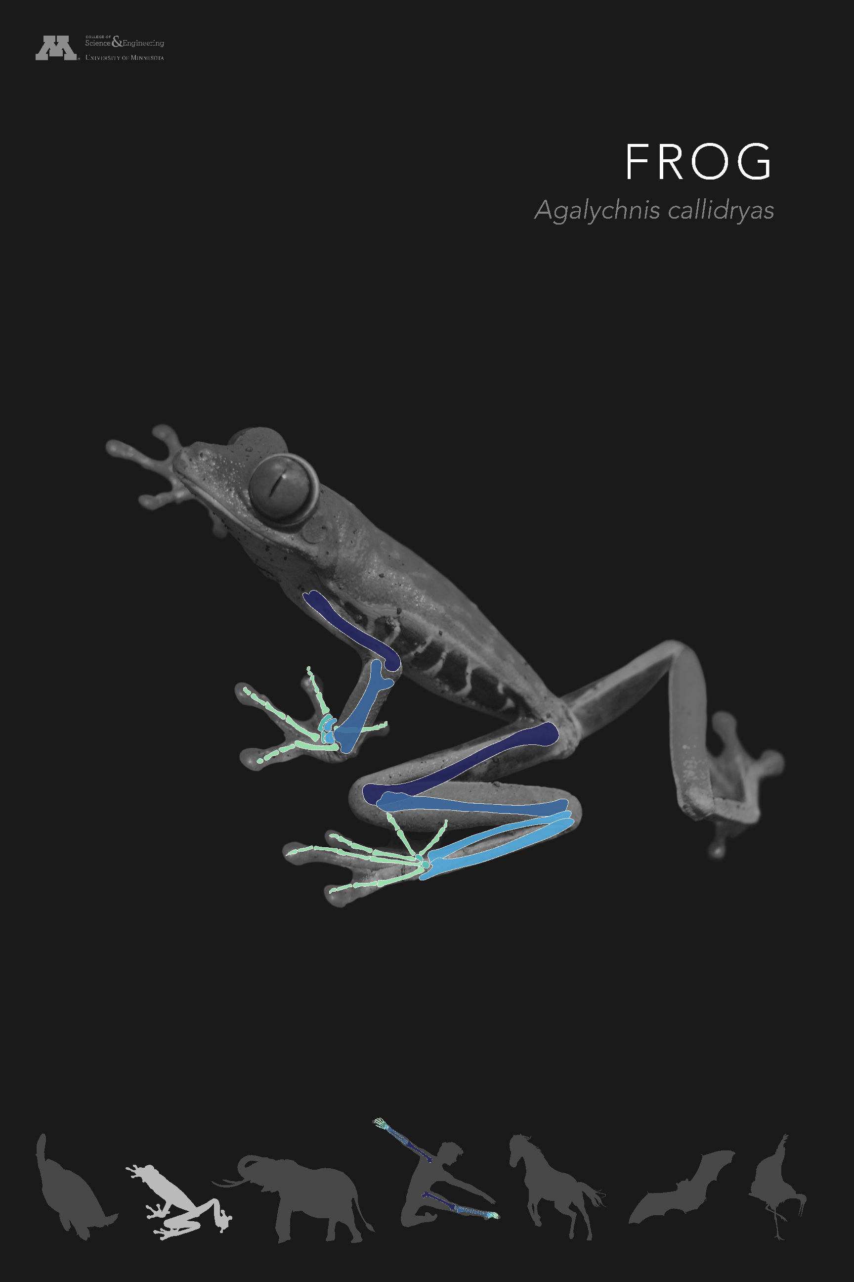 OSA_FROG_90Black_ArtOpt_72dpi.png